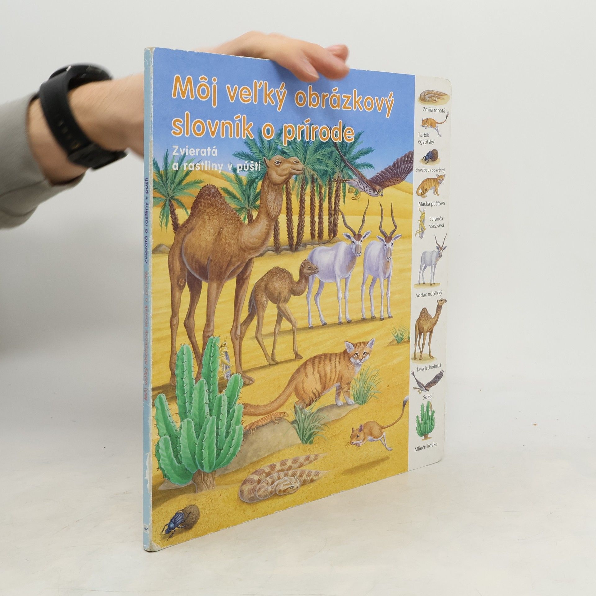 Collectif d'auteurs Môj veľký obrázkový slovník o prírode. Zvieratá a rastliny v púšti