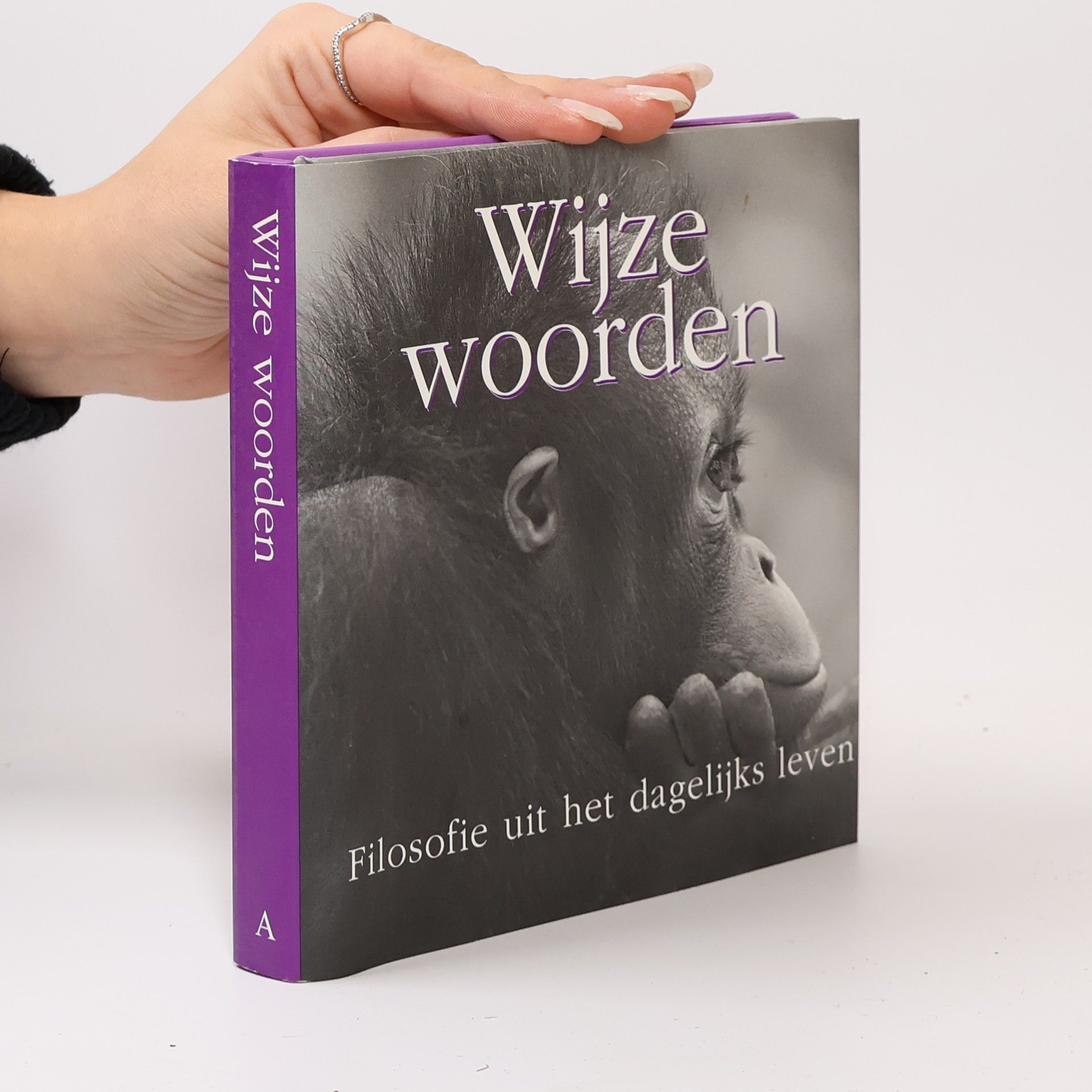 Brian Burns Wijze woorden. Filosofie uit het dagelijks leven