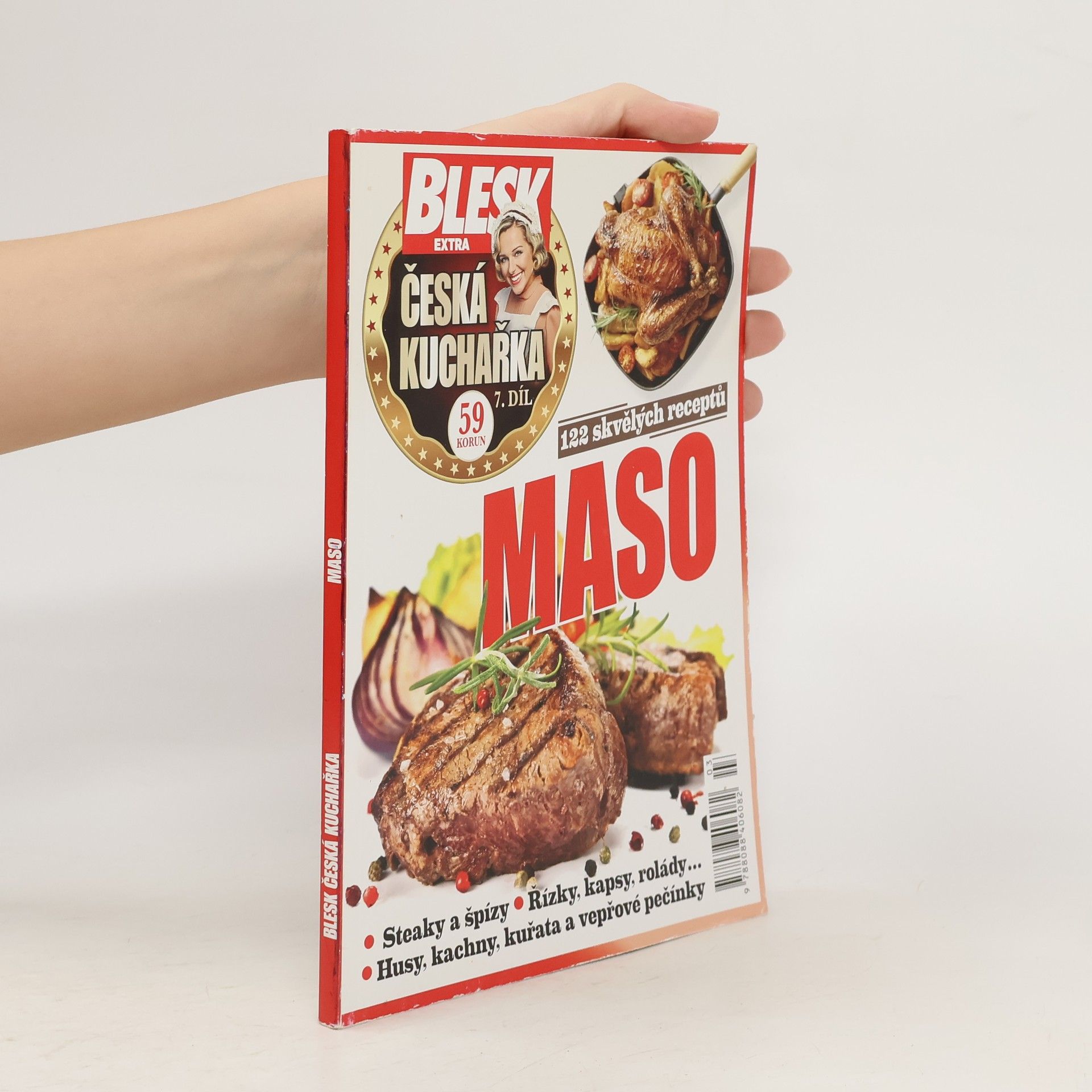 Česká kuchařka. 7. díl, Maso