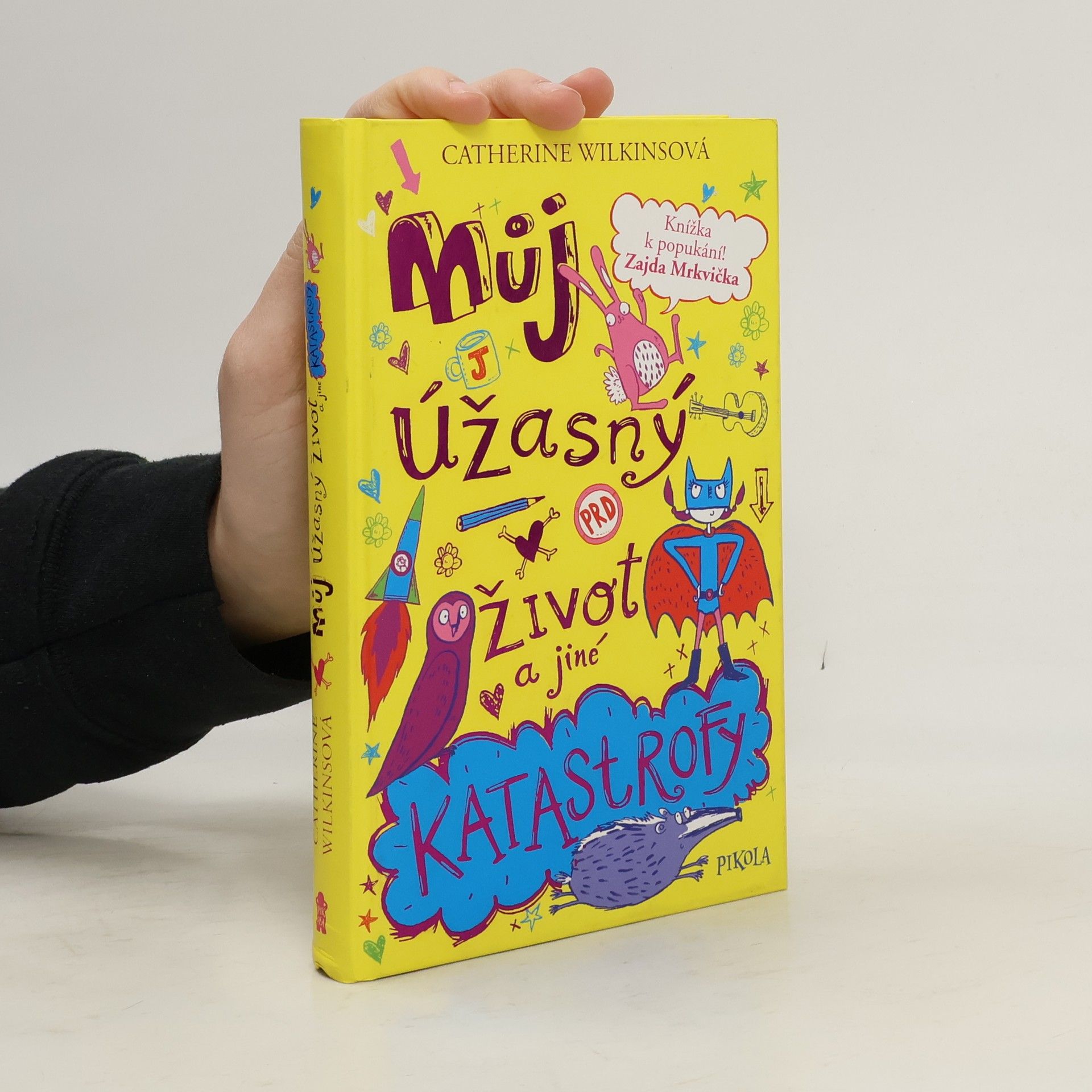 Můj úžasný život a jiné katastrofy