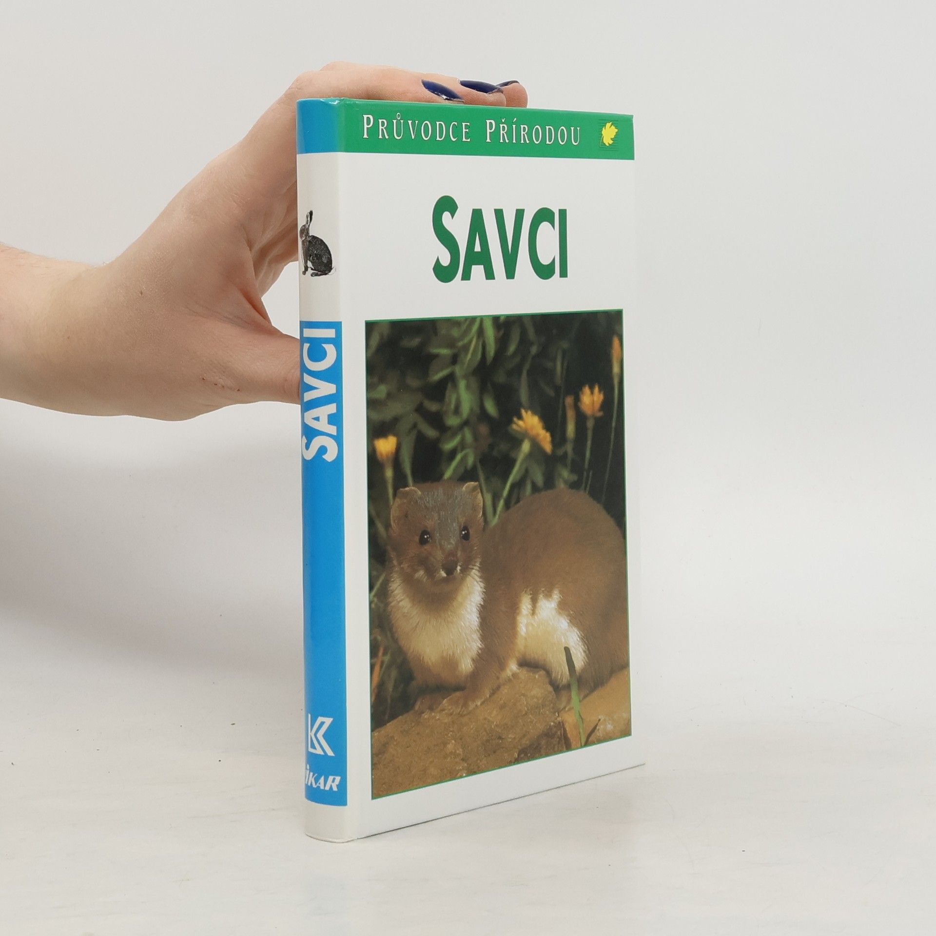Savci