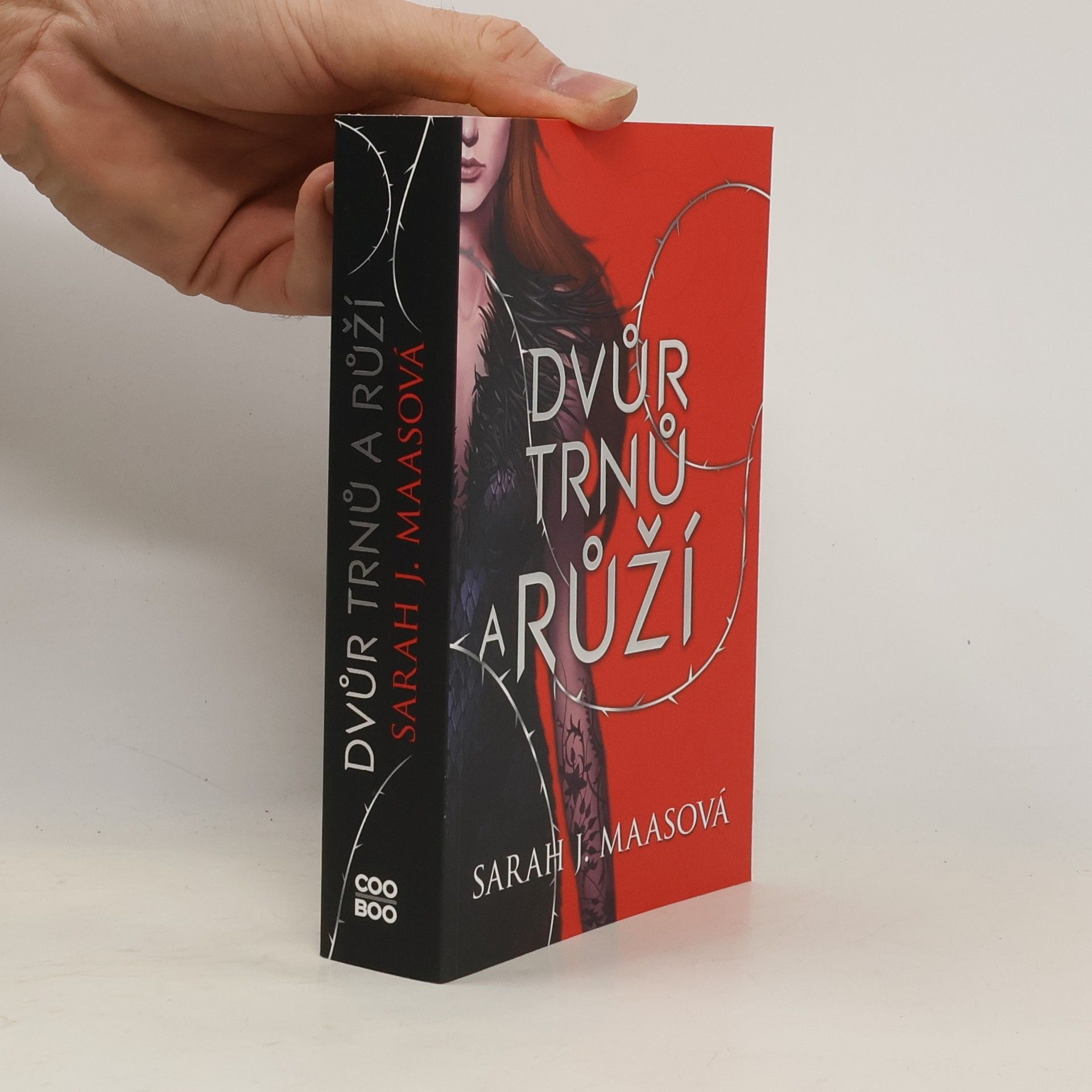 Sarah J. Maas Dvůr trnů a růží