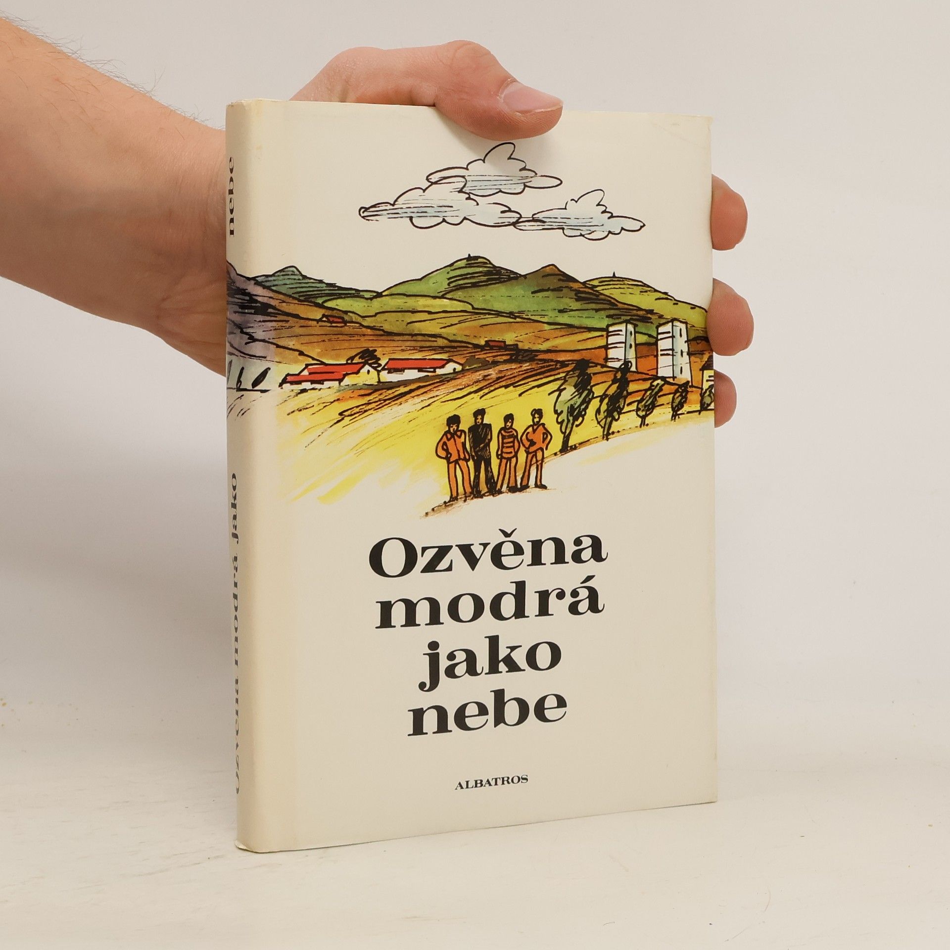 Auteurscollectief Ozvěna modrá jako nebe. Sborník povídek o dětech