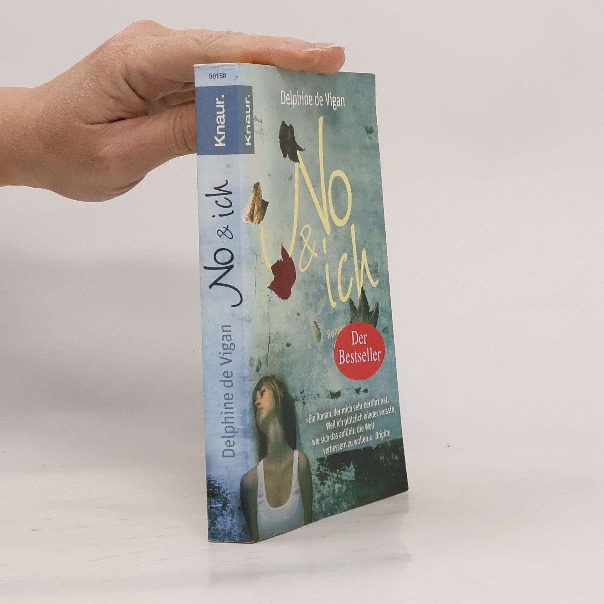 Delphine de Vigan No & ich