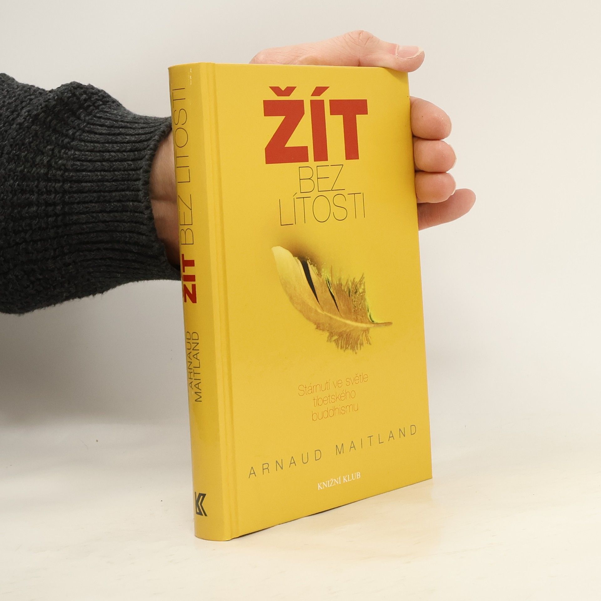 Žít bez lítosti. Stárnutí ve světle tibetského buddhismu