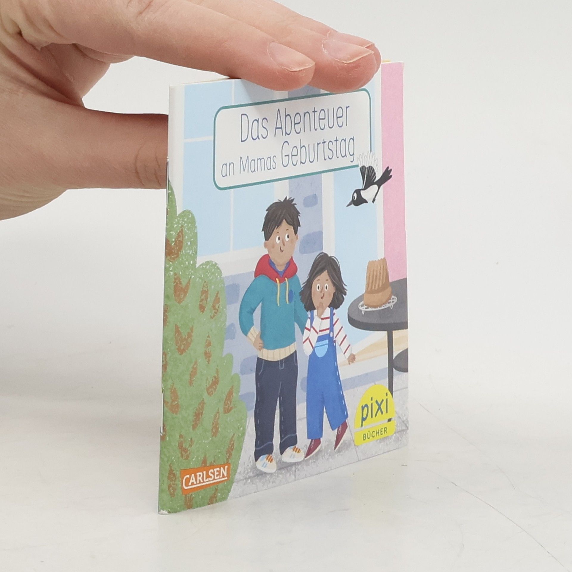 Autorenkollektiv Das Abenteuer an Mamas Geburtstag