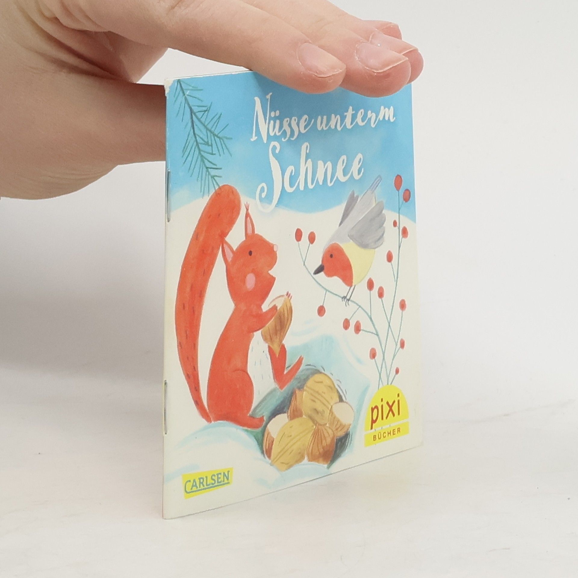 Kolektiv autorů Nüsse unterm Schnee