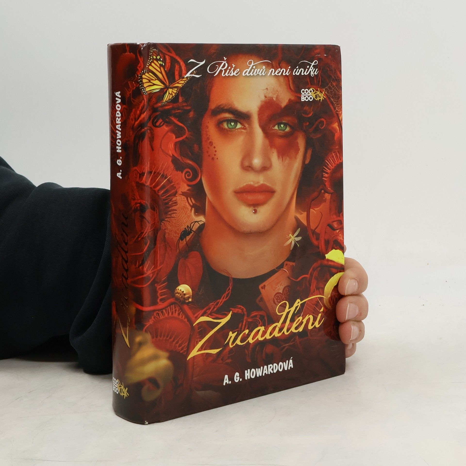 A. G. Howard Zrcadlení. 3. díl