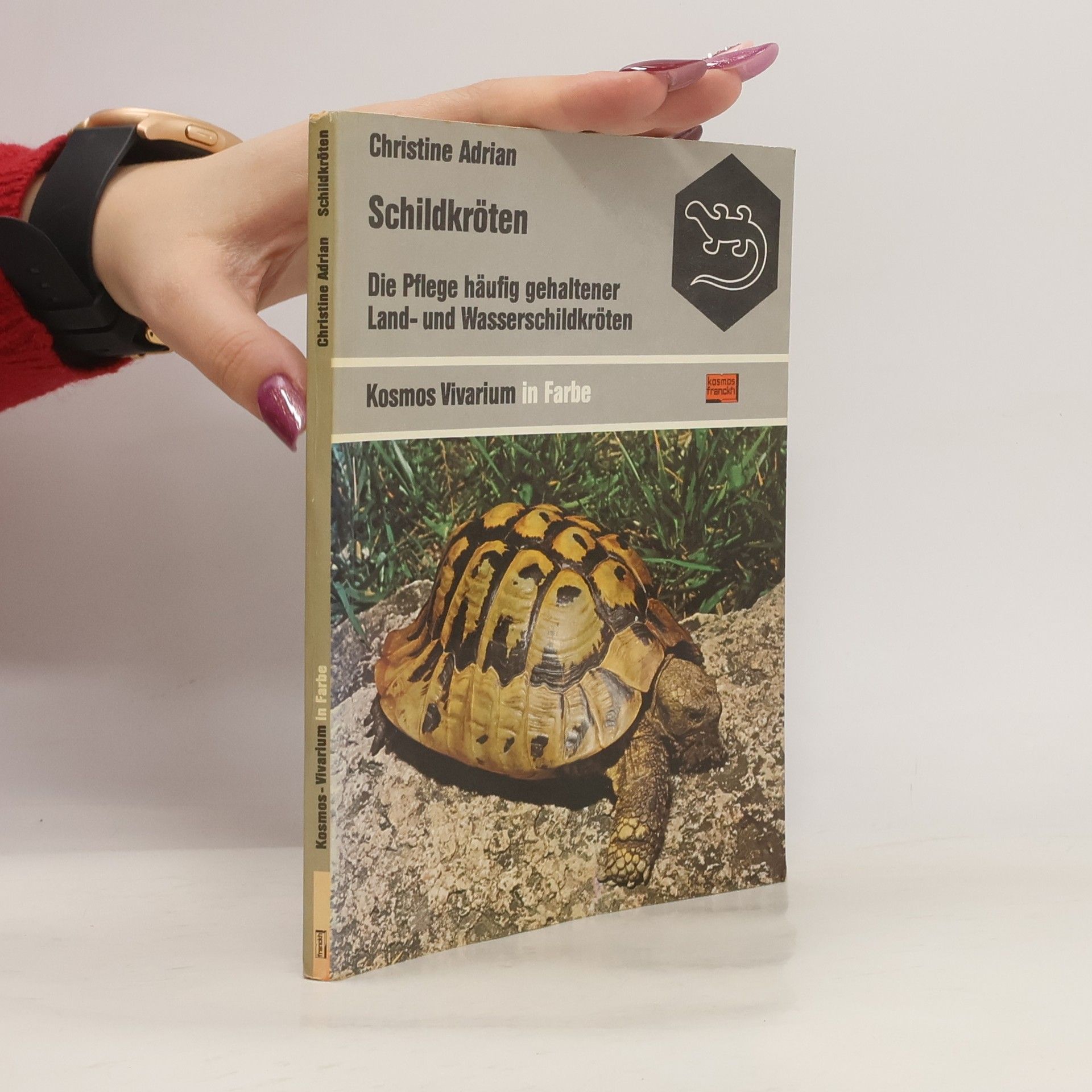 Christine Adrian Schildkröten