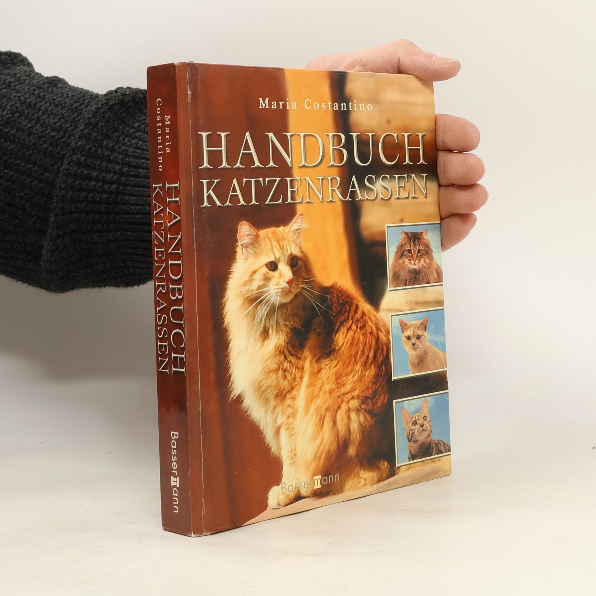 Maria Constantino Handbuch Katzenrassen