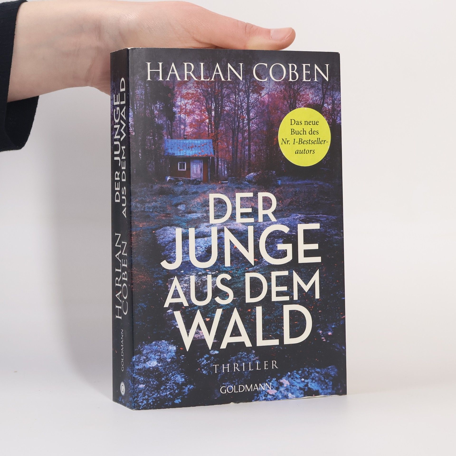 Harlan Coben Der Junge aus dem Wald