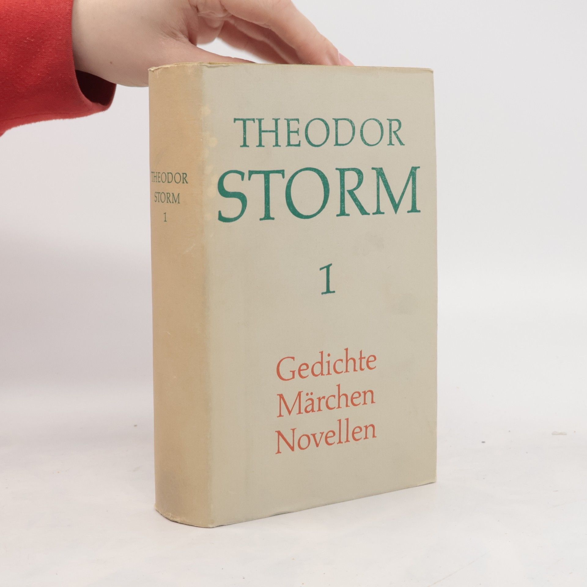 Theodor Storm Gedichte Märchen Novellen 1