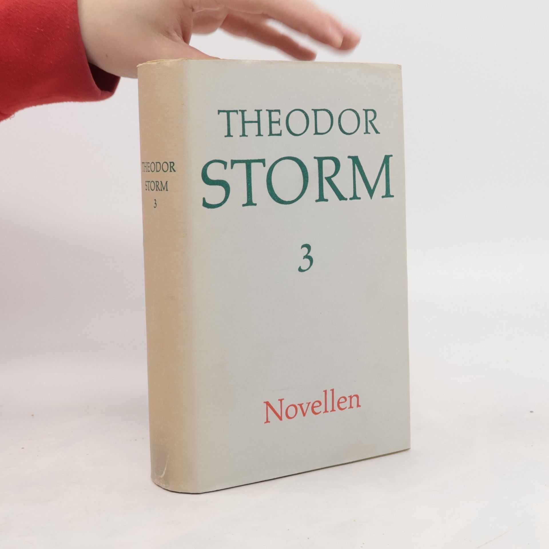 Theodor Storm Novellen 3 (1875-1885)