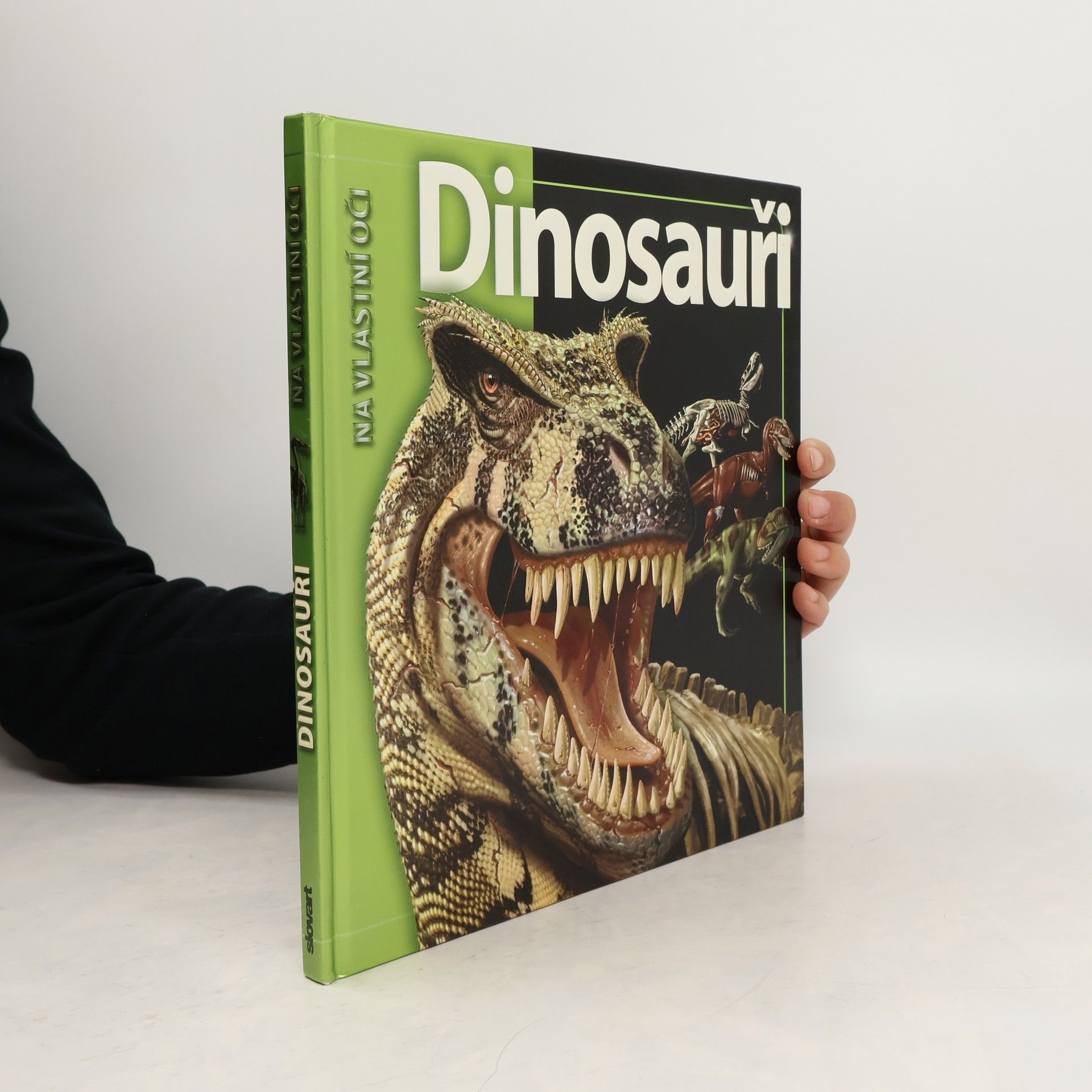 Romana Anděrová Dinosauři