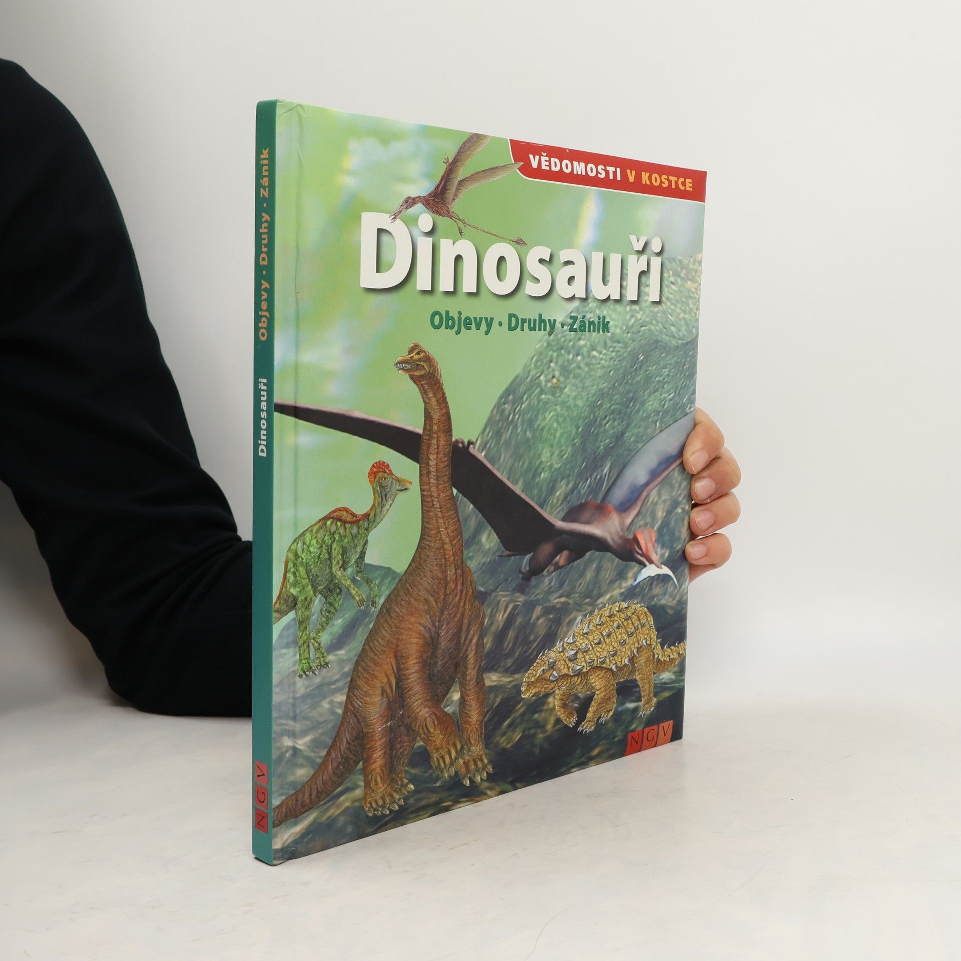 Autorenkollektiv Dinosauři