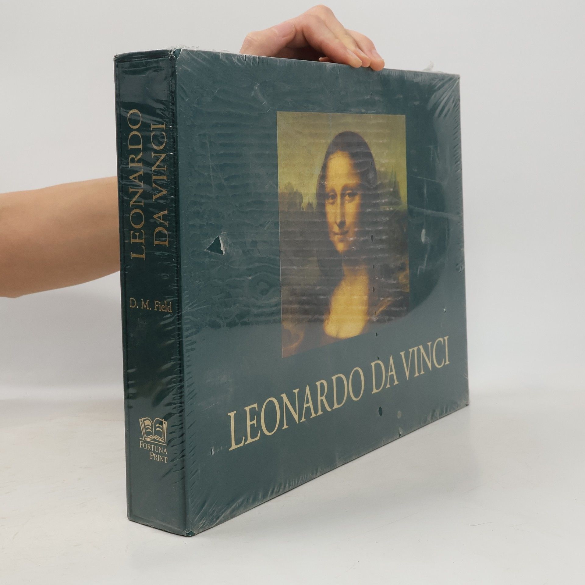 D. M. Field Leonardo da Vinci