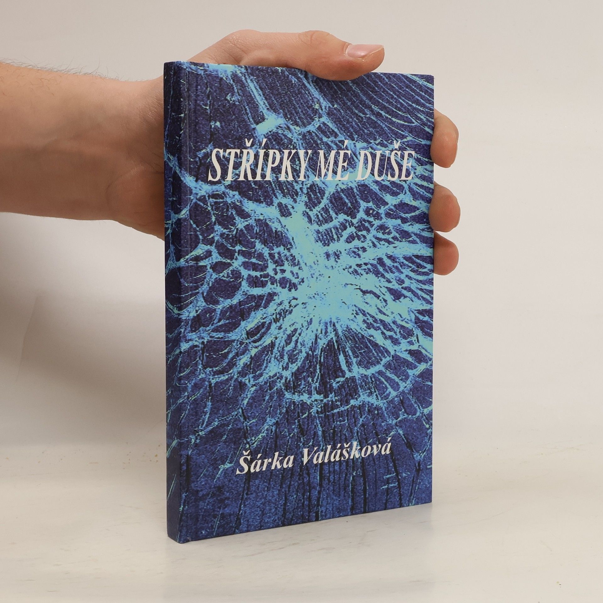 Šárka Valášková Střípky mé duše