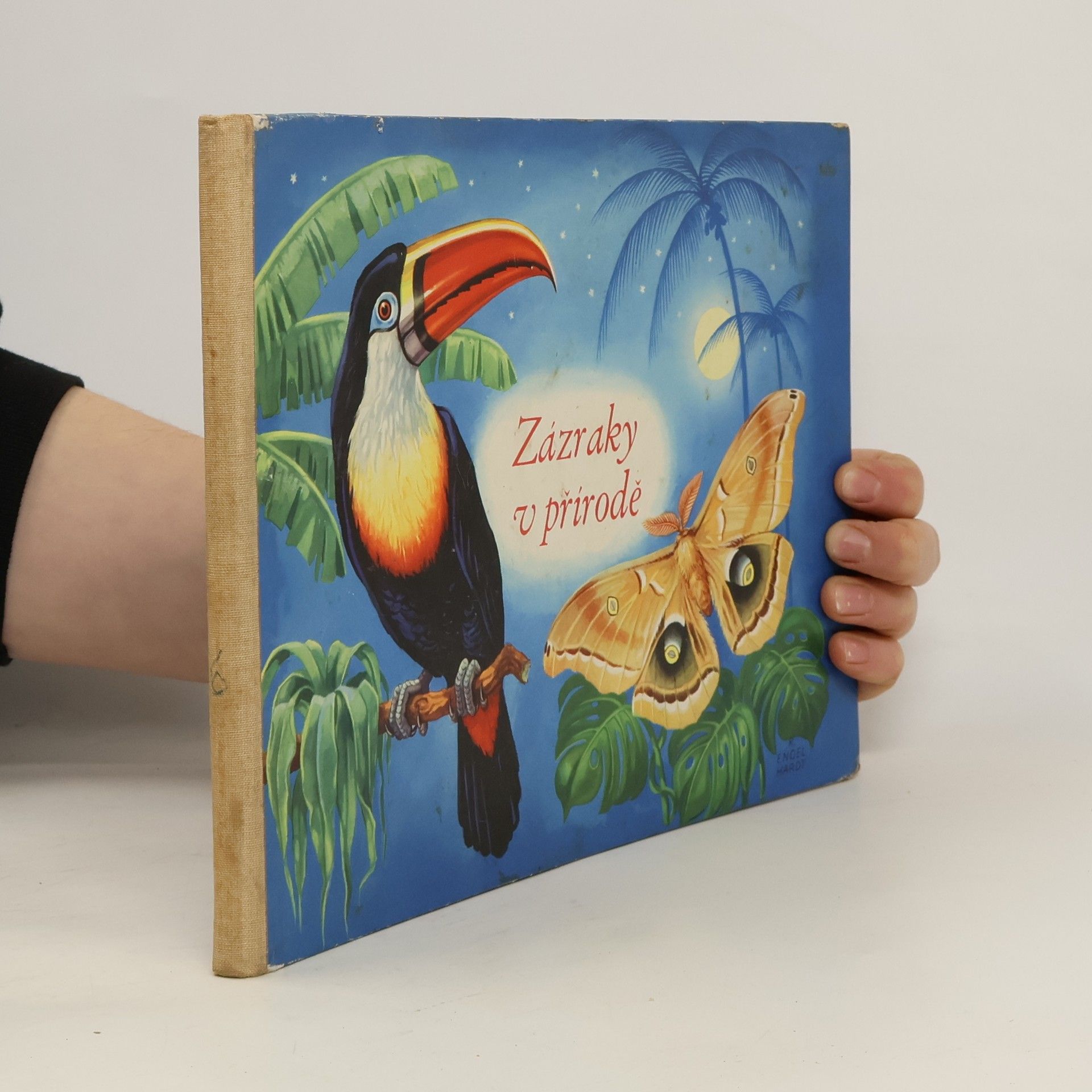 Marta Chmelová Zázraky v přírodě. Pedagogická obrázková kniha