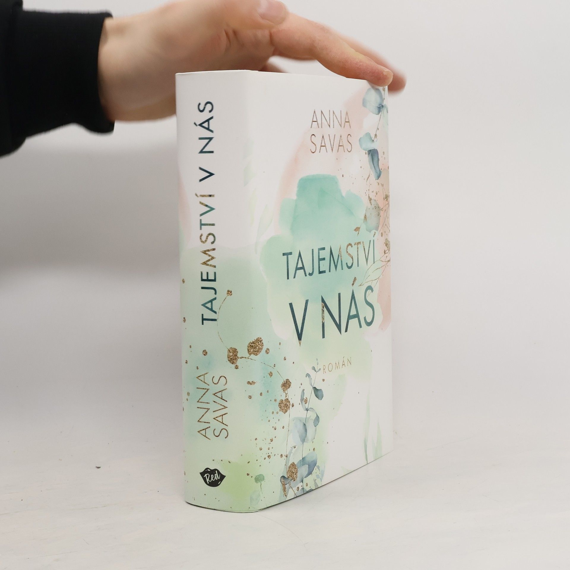 Anna Savas Tajemství v nás