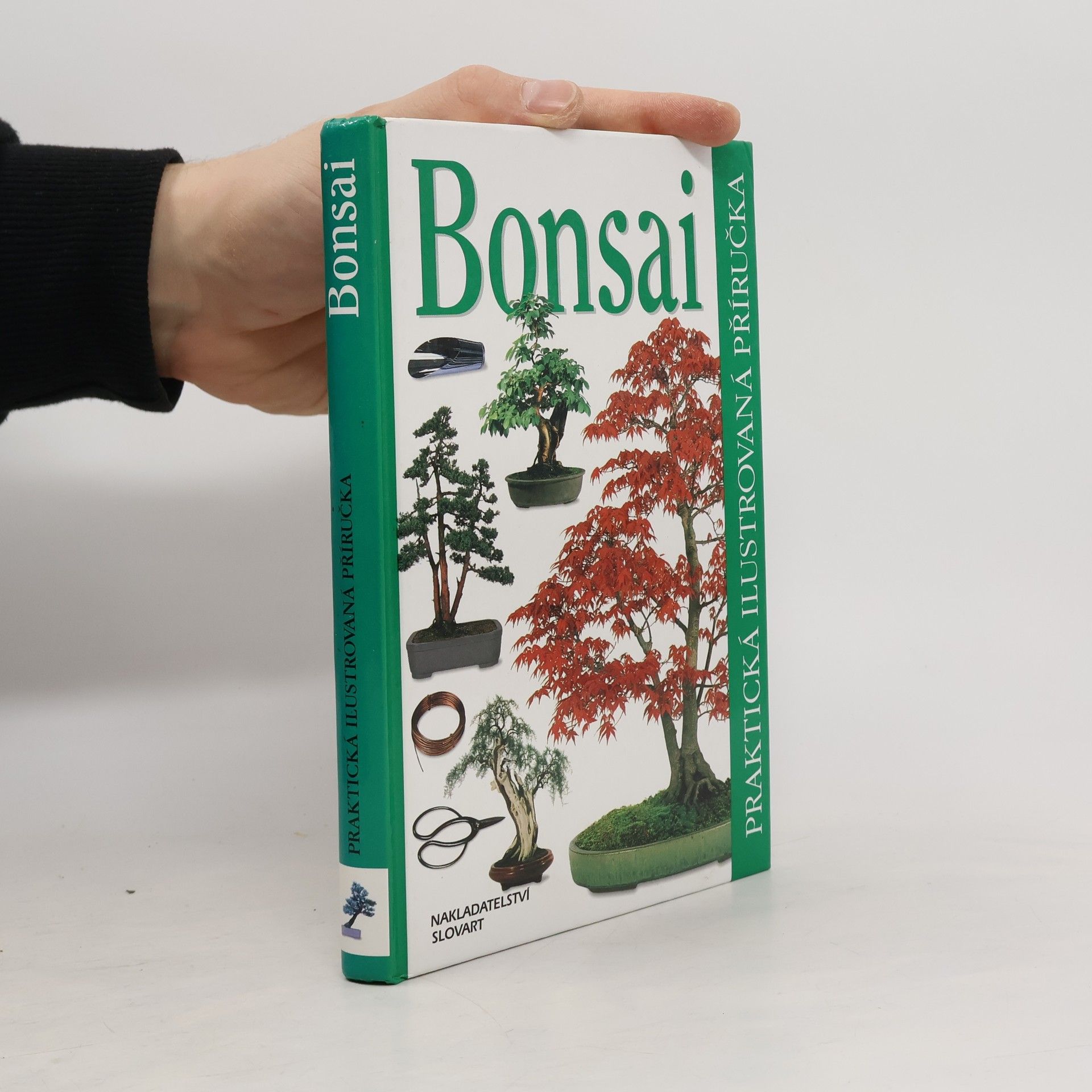 Dana Wiesnerová Bonsai. Praktická ilustrovaná příručka
