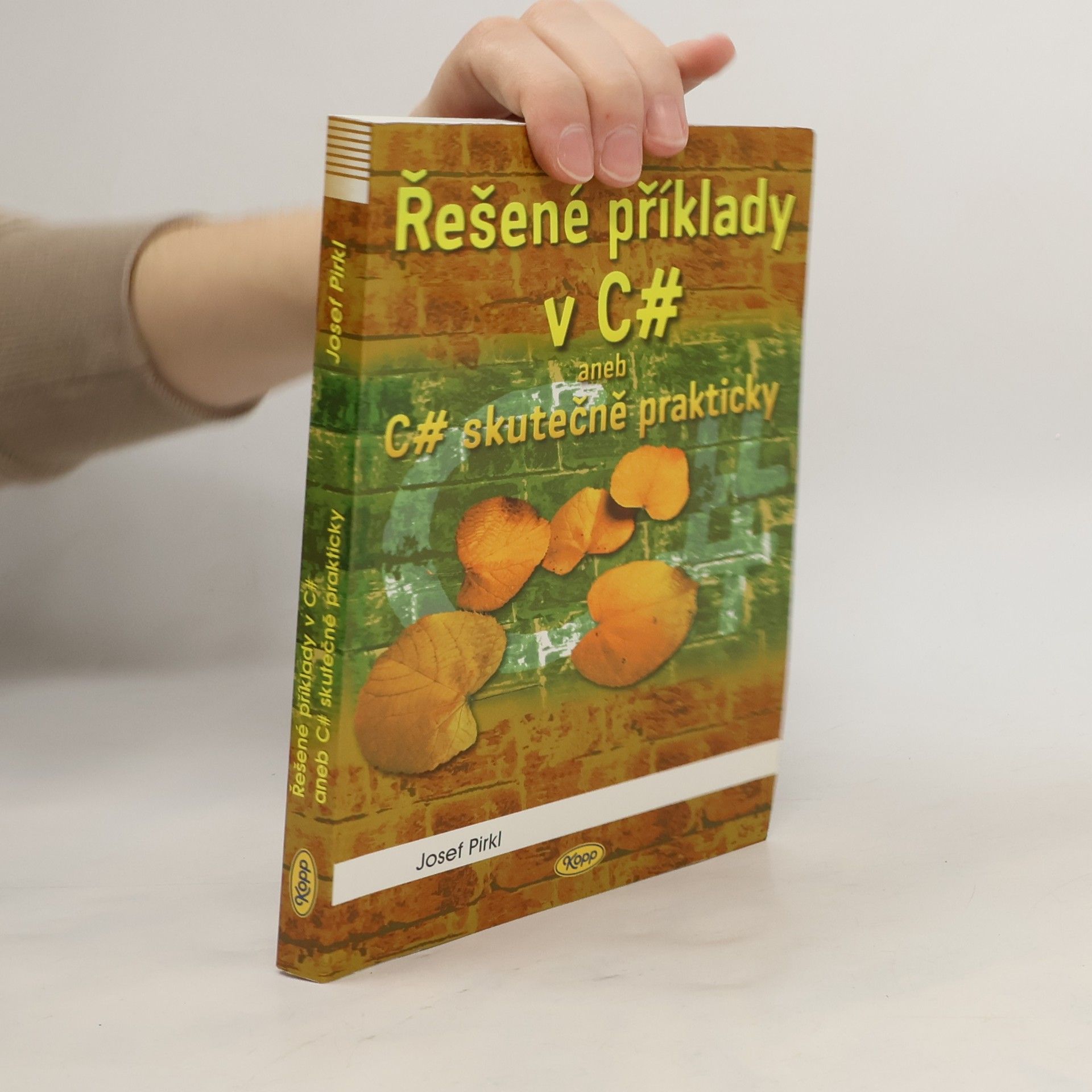 Řešené příklady v C# aneb C# skutečně prakticky
