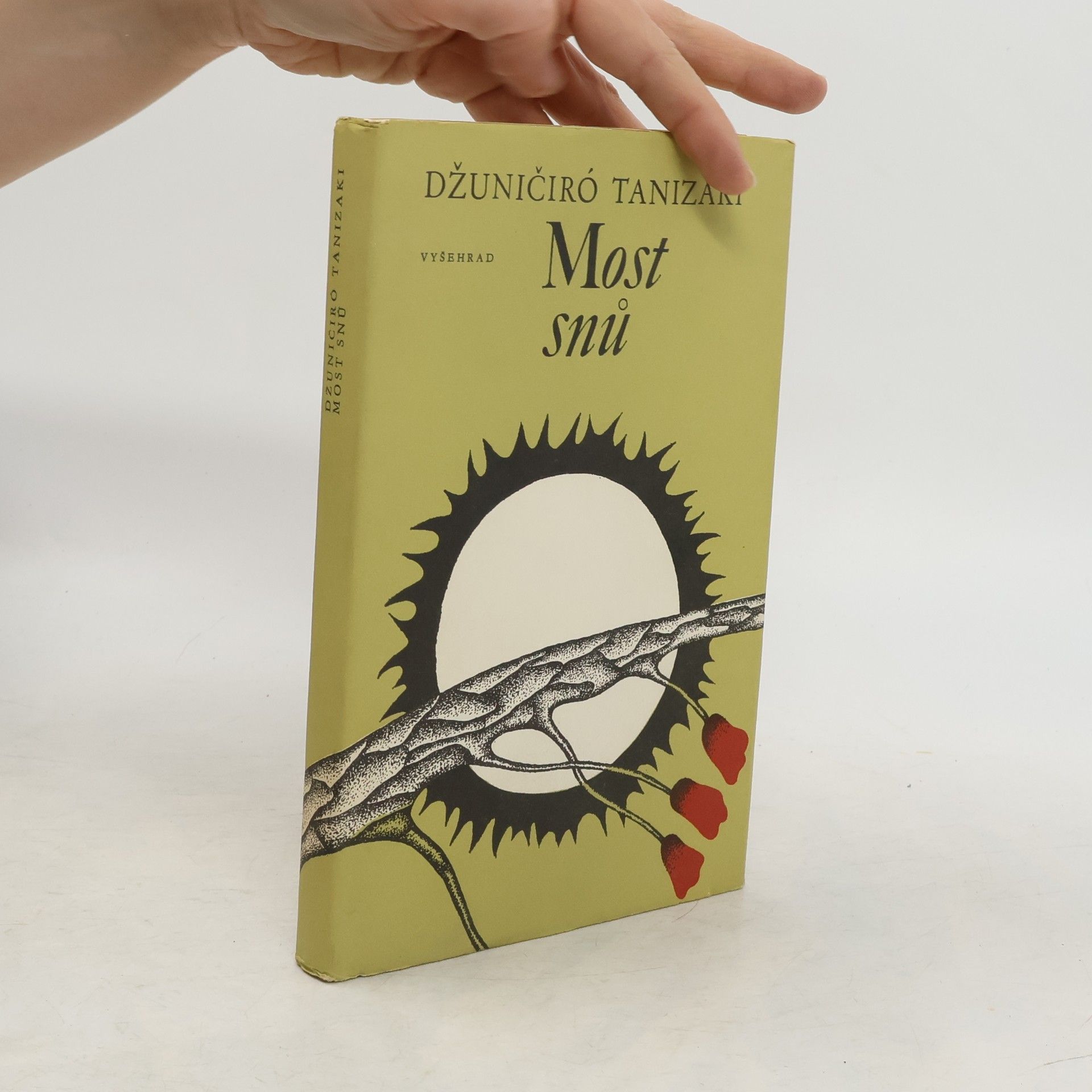 Junichiro Tanizaki Most snů