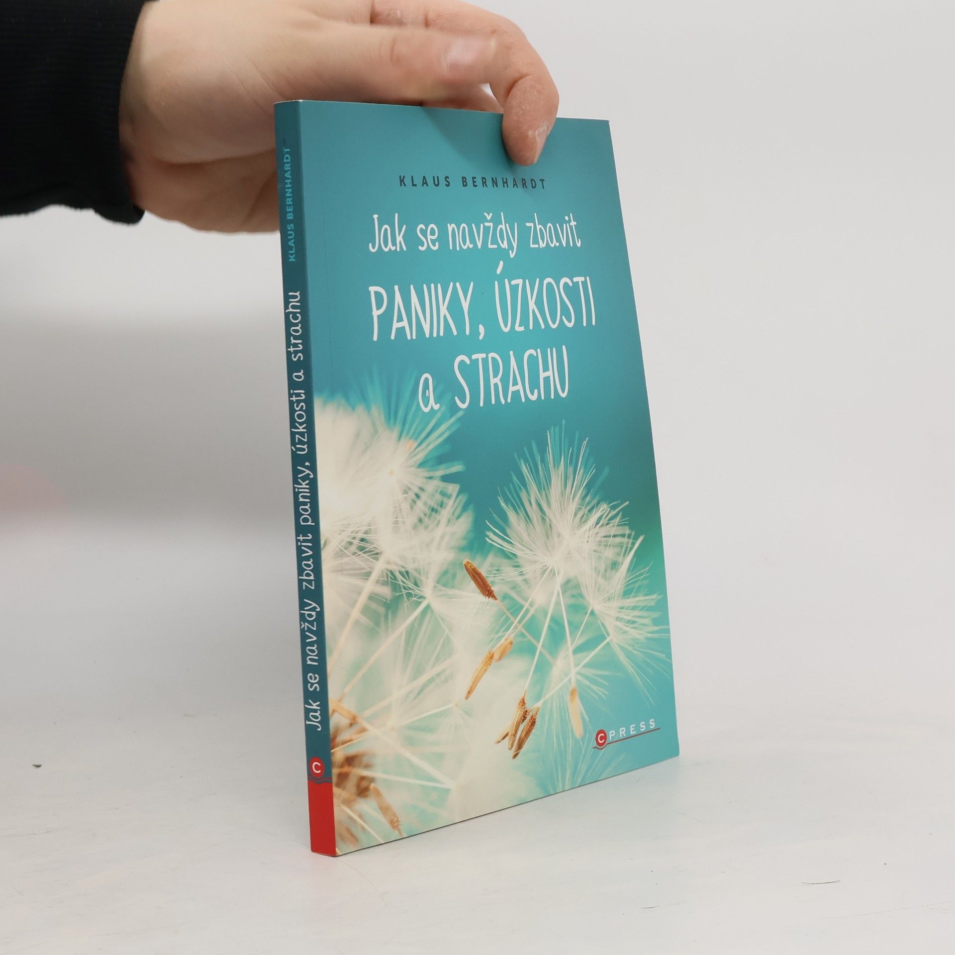 Klaus Bernhardt Jak se navždy zbavit paniky, úzkosti a strachu
