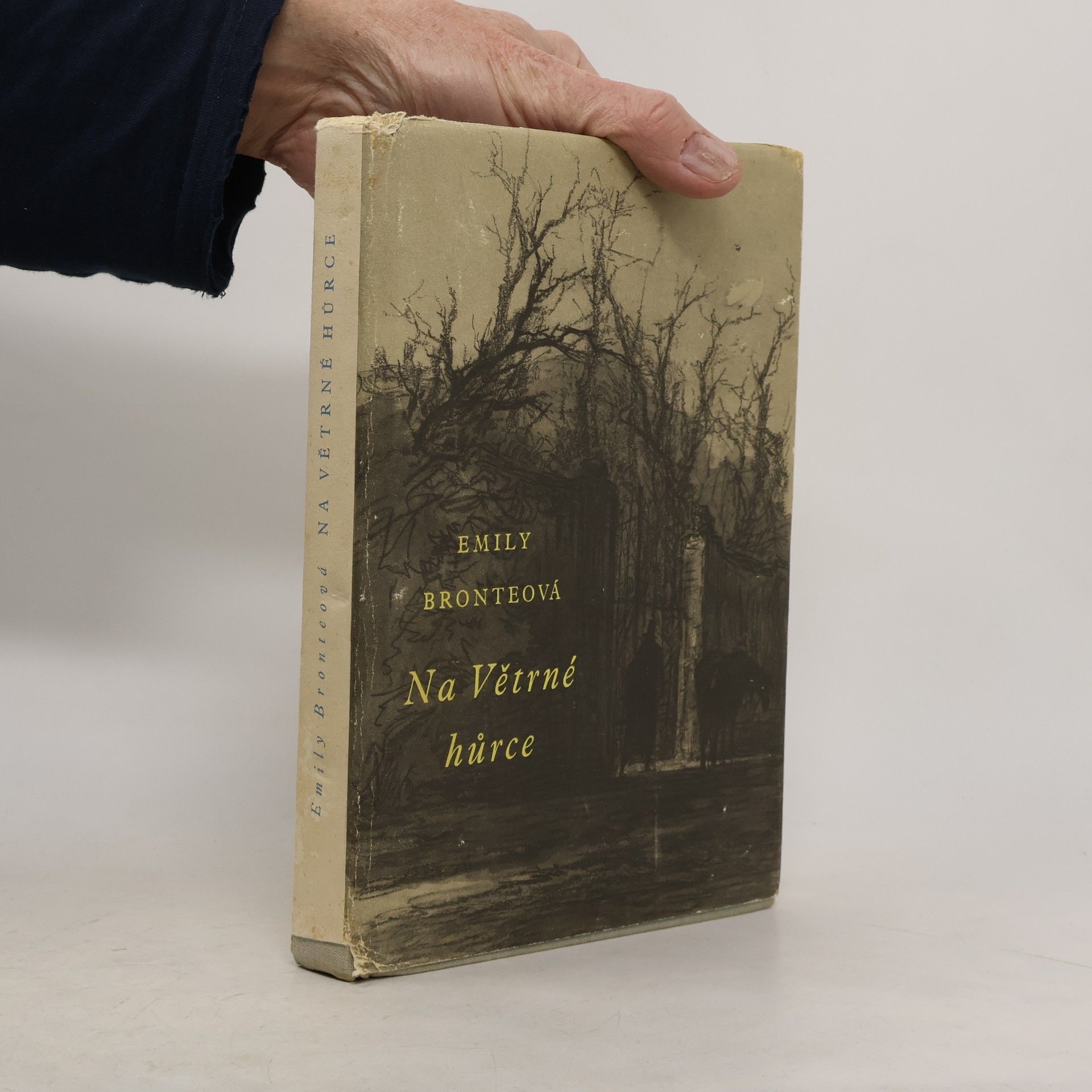 Emily Brontë Na Větrné hůrce