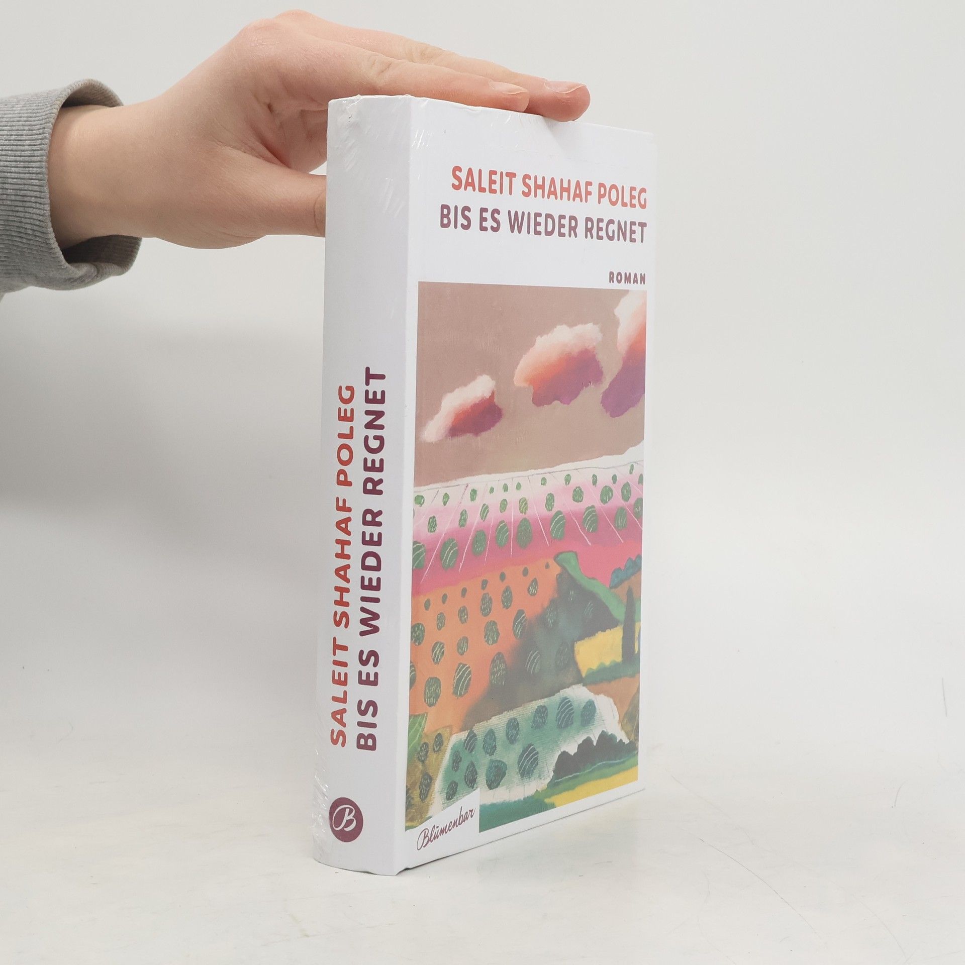 Bis es wieder regnet