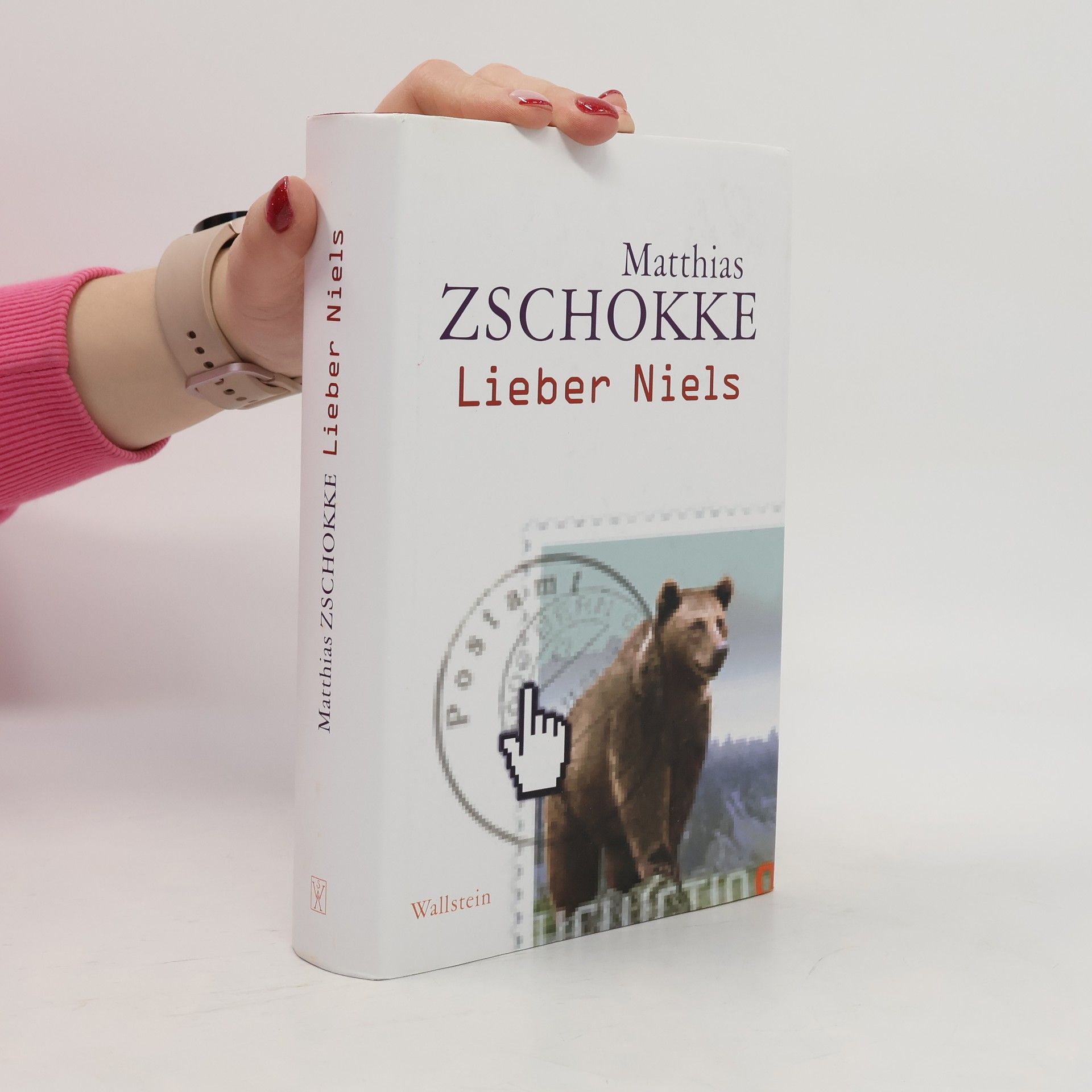 Matthias Zschokke Lieber Niels