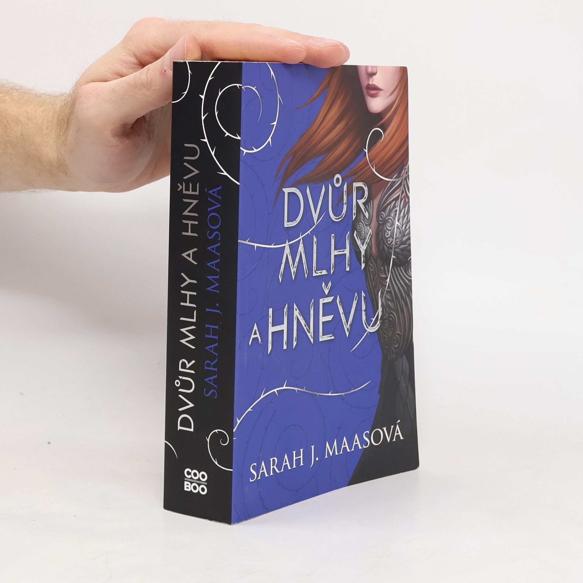 Sarah J. Maas Dvůr mlhy a hněvu