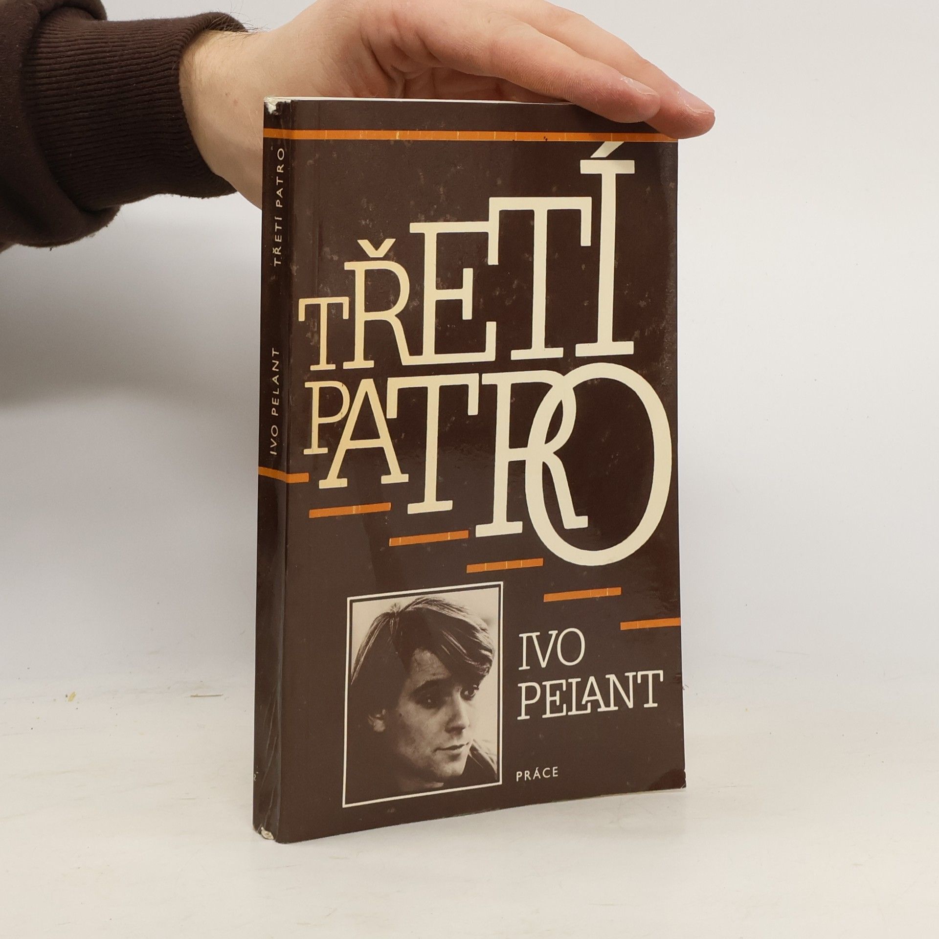 Ivo Pelant Třetí patro