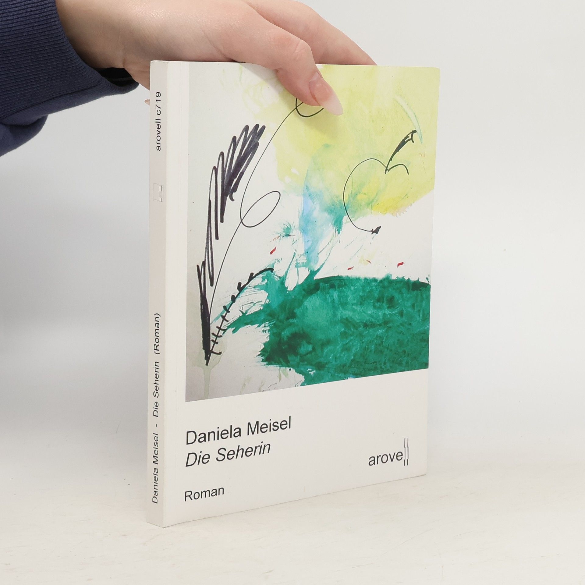 Daniela Meisel Die Seherin. Roman