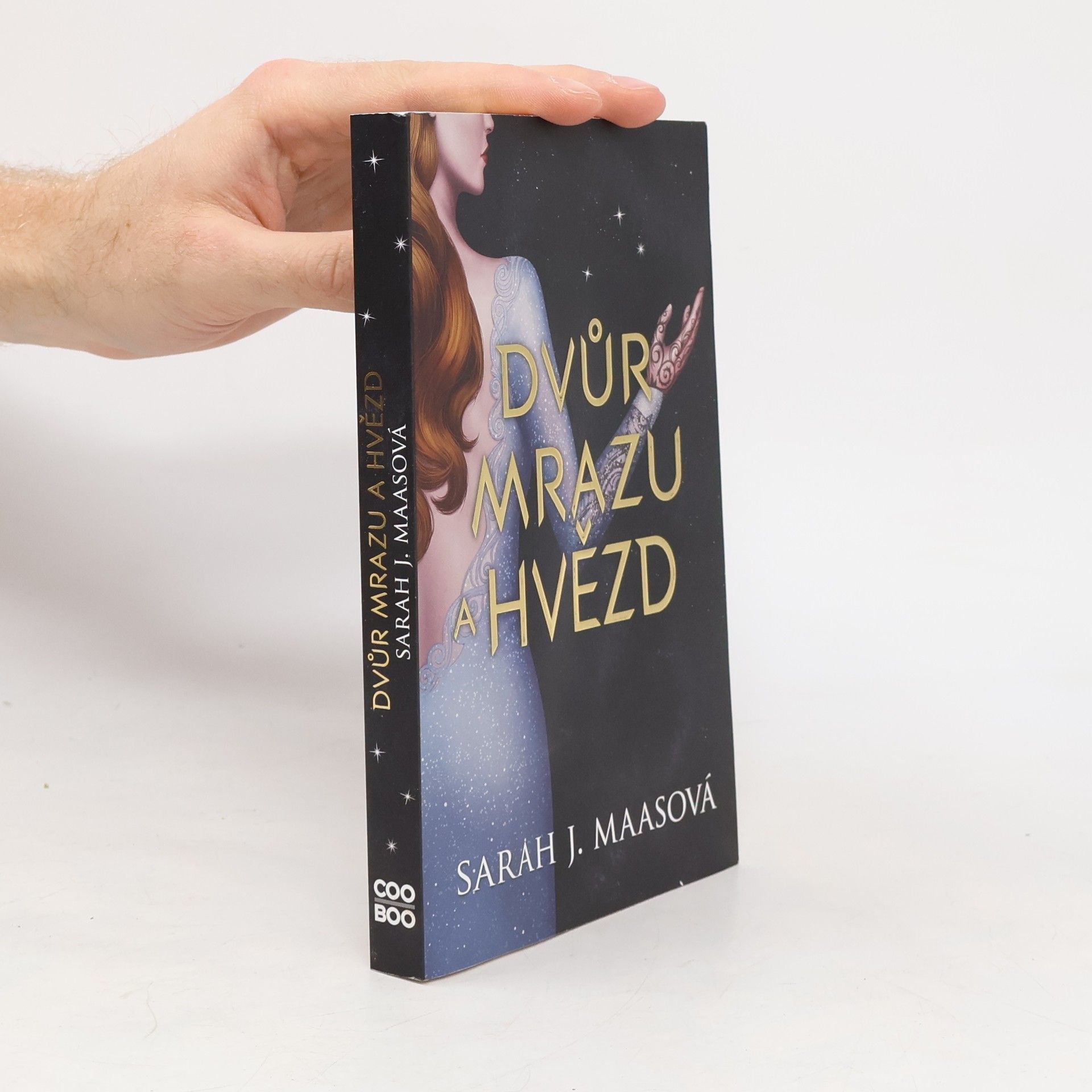 Sarah J. Maas Dvůr mrazu a hvězd