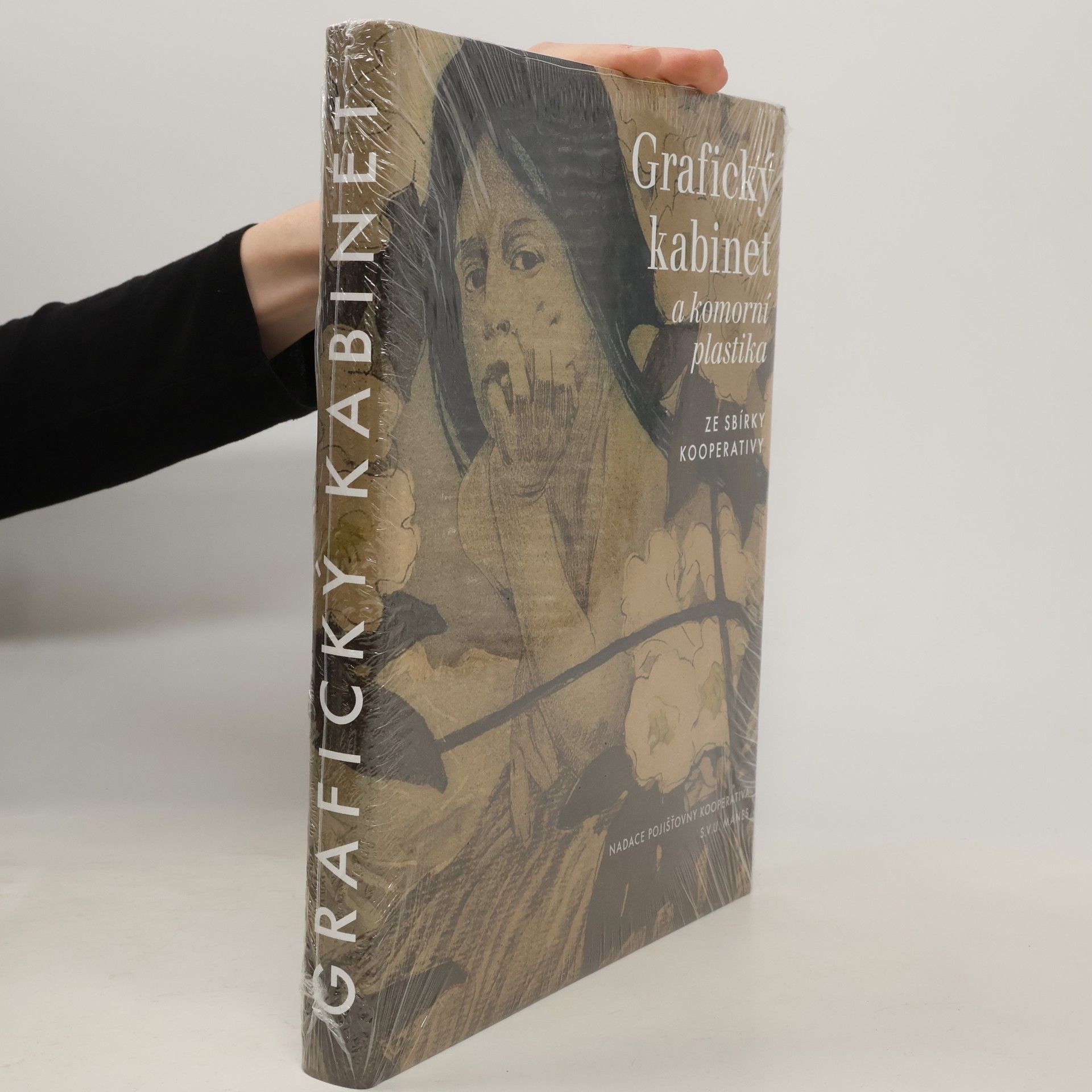 Collectif d'auteurs Grafický kabinet a komorní plastika