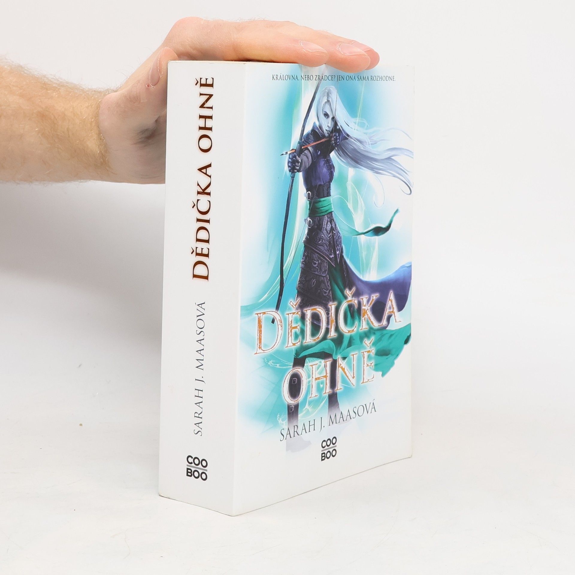 Sarah J. Maas Dědička ohně