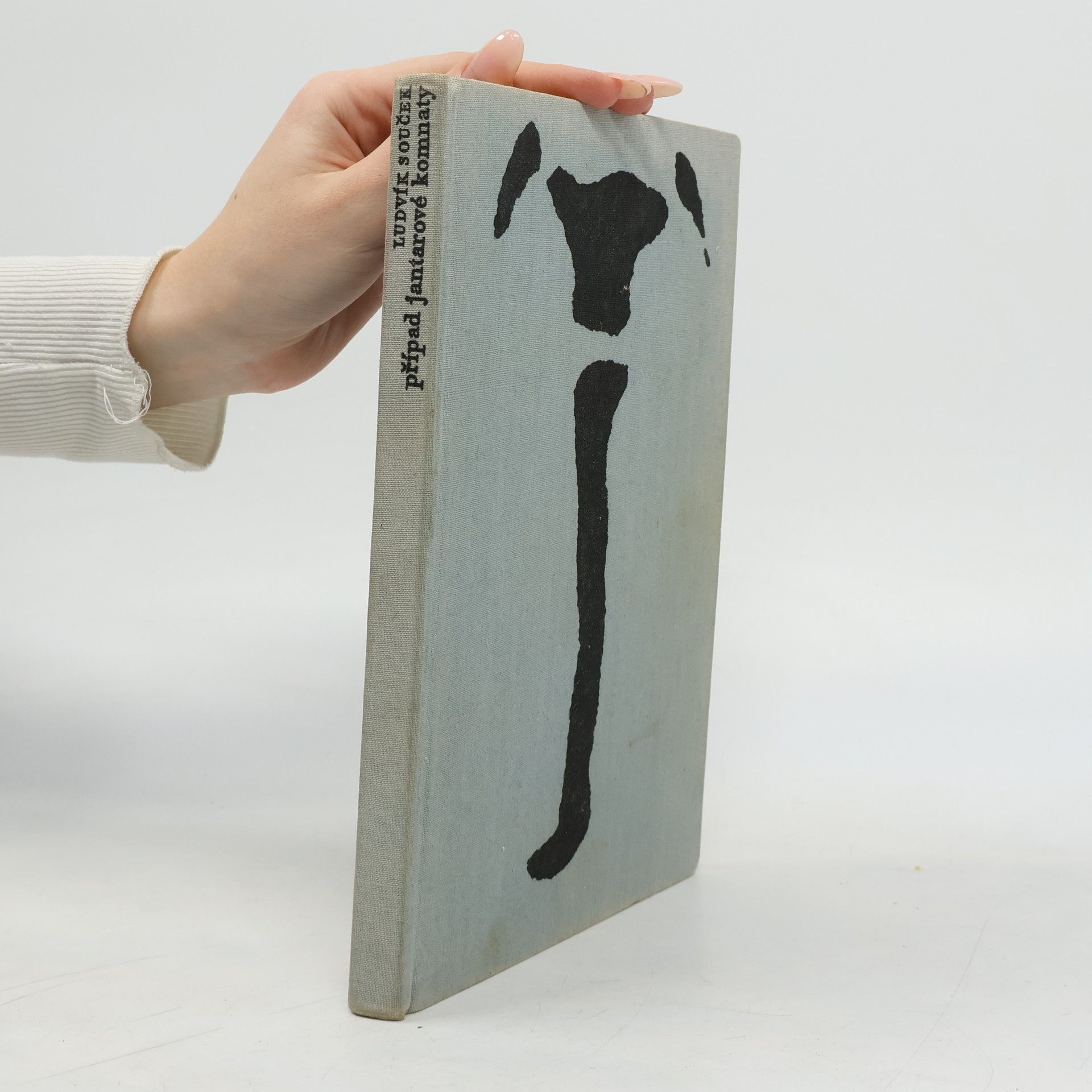 Ludvík Souček Případ Jantarové komnaty