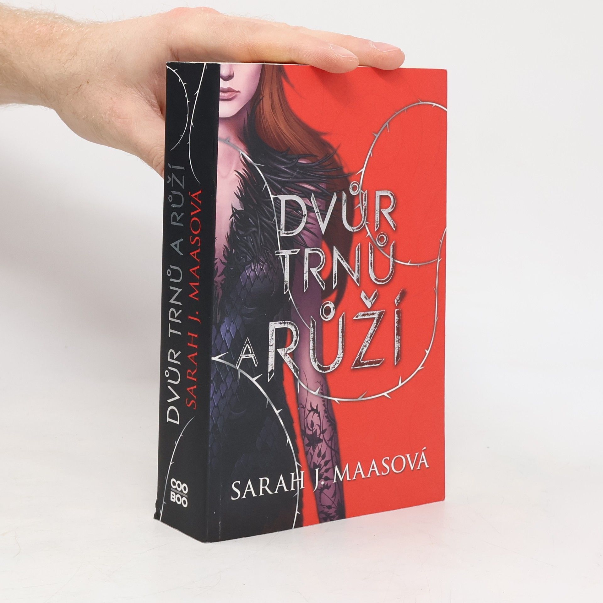 Sarah J. Maas Dvůr trnů a růží