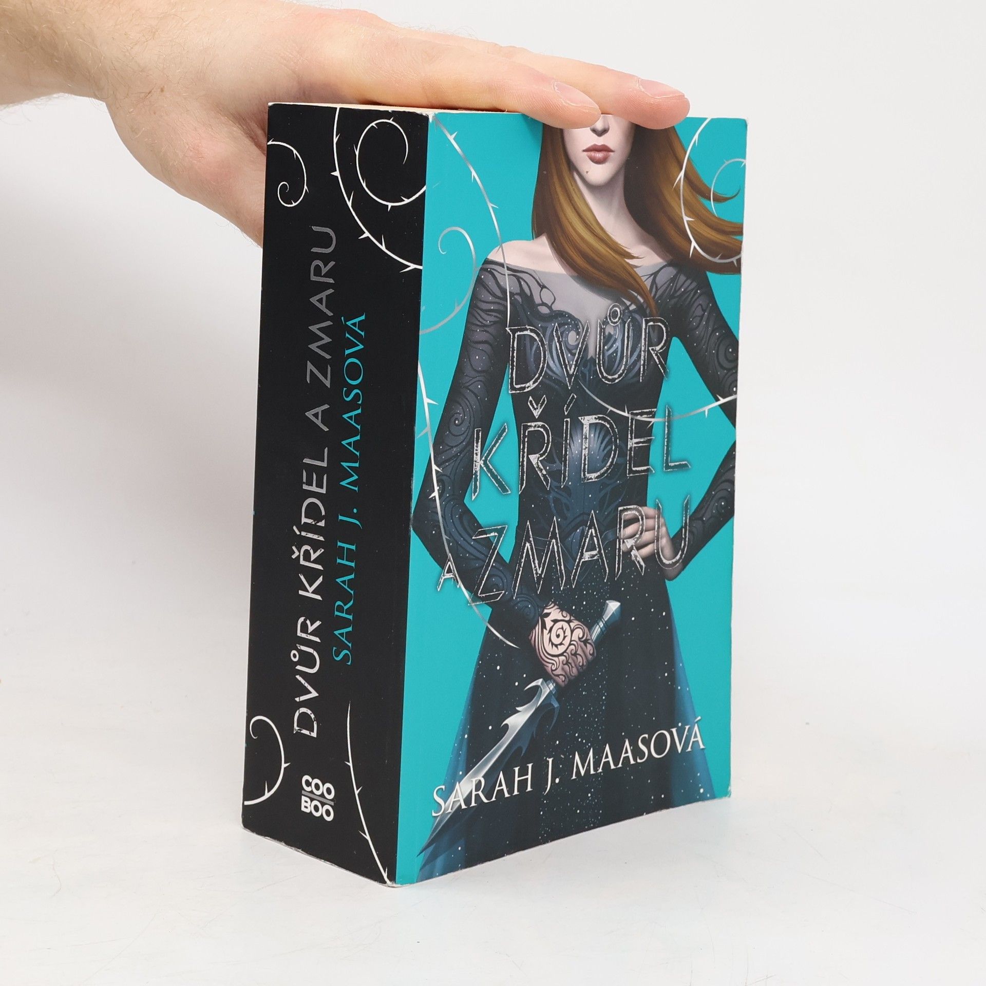 Sarah J. Maas Dvůr křídel a zmaru