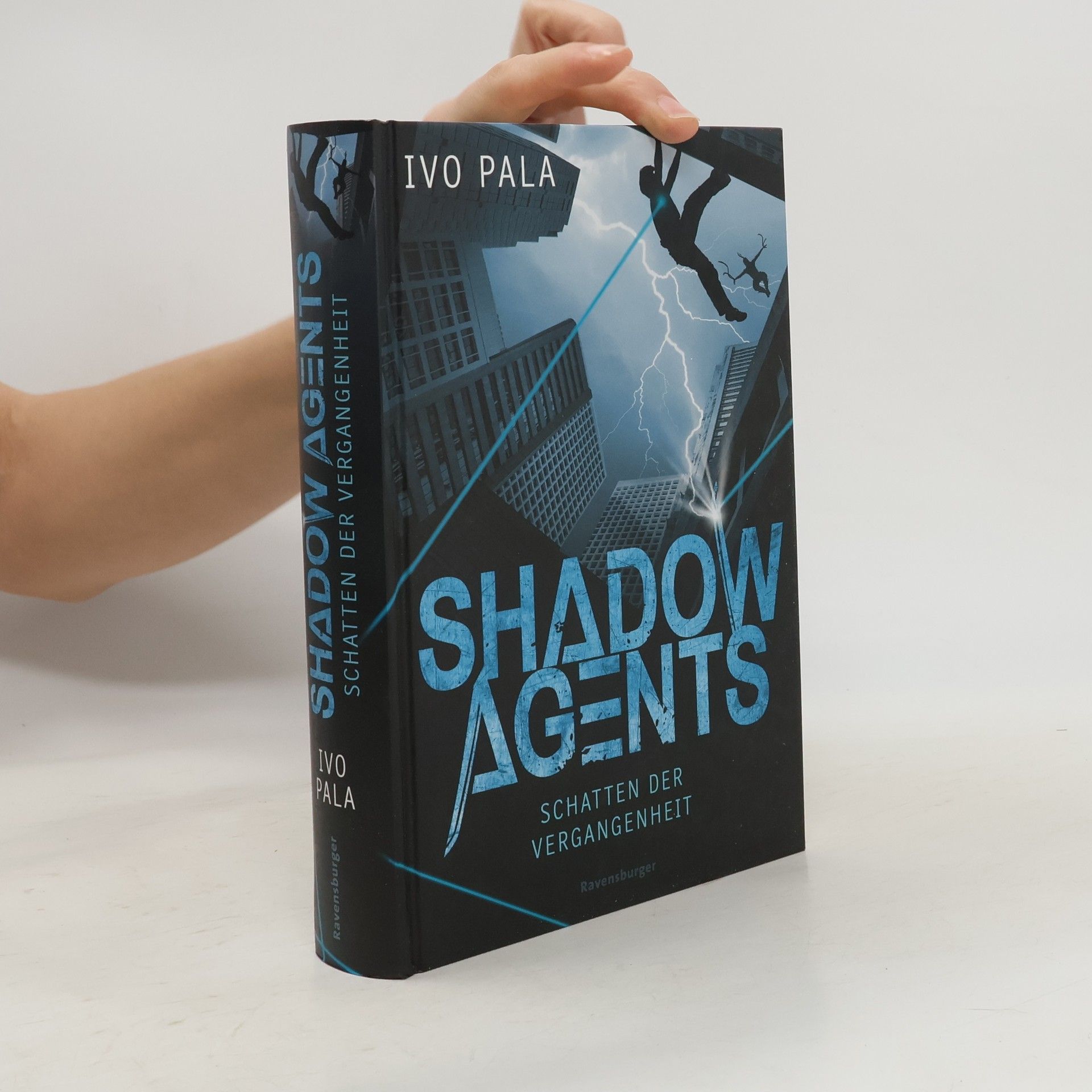 Ivo Pala Schatten der Vergangenheit