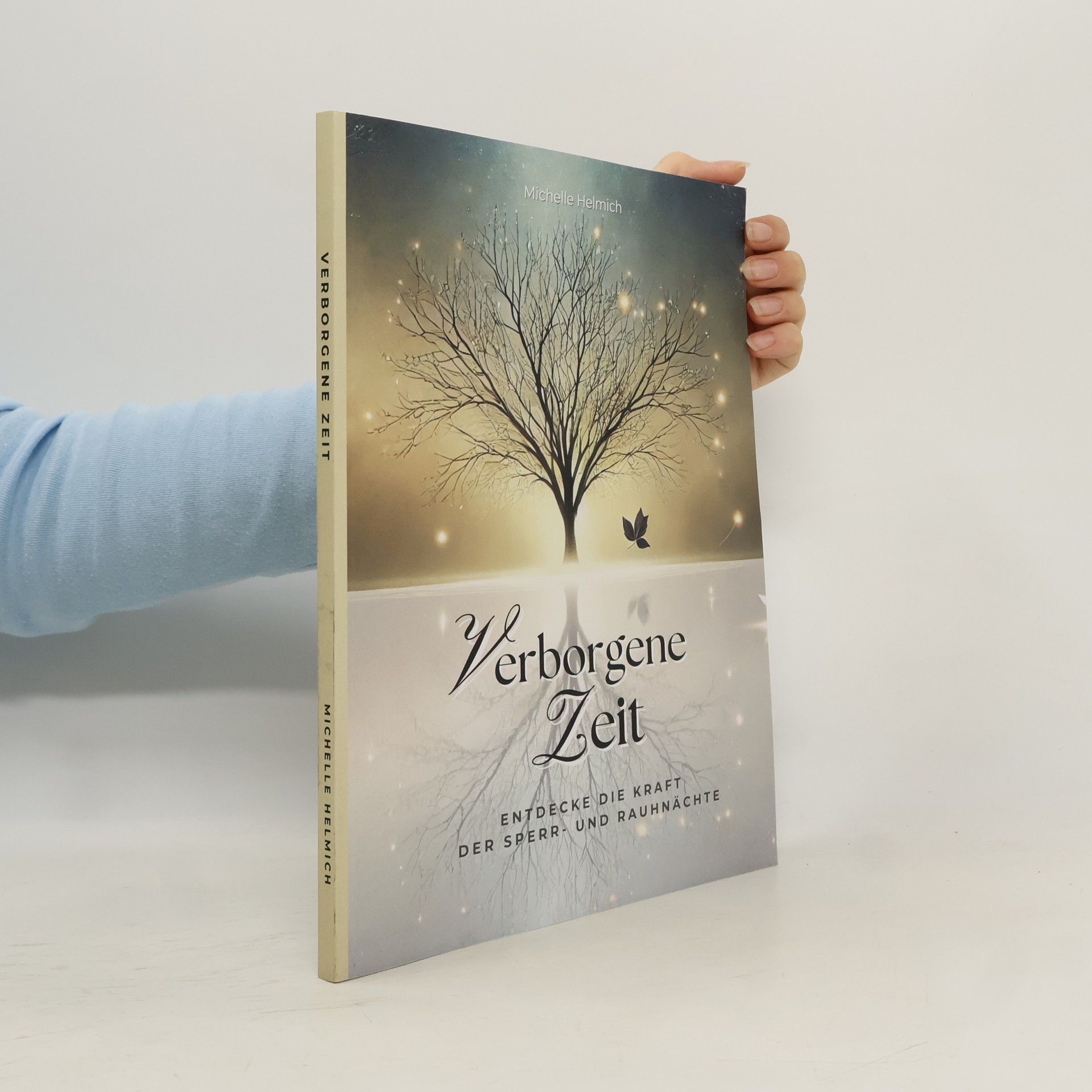 Michelle Helmich Die verborgene Zeit