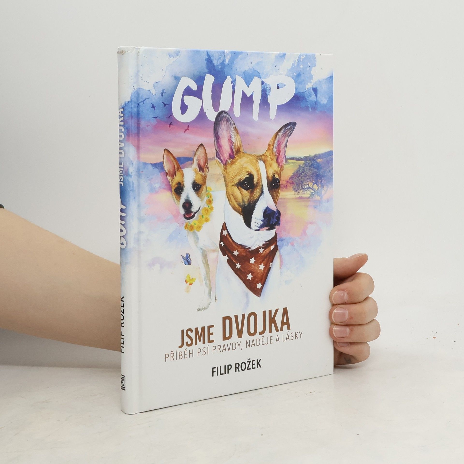 Filip Rožek Gump jsme dvojka: Příběh psí pravdy, naděje a lásky