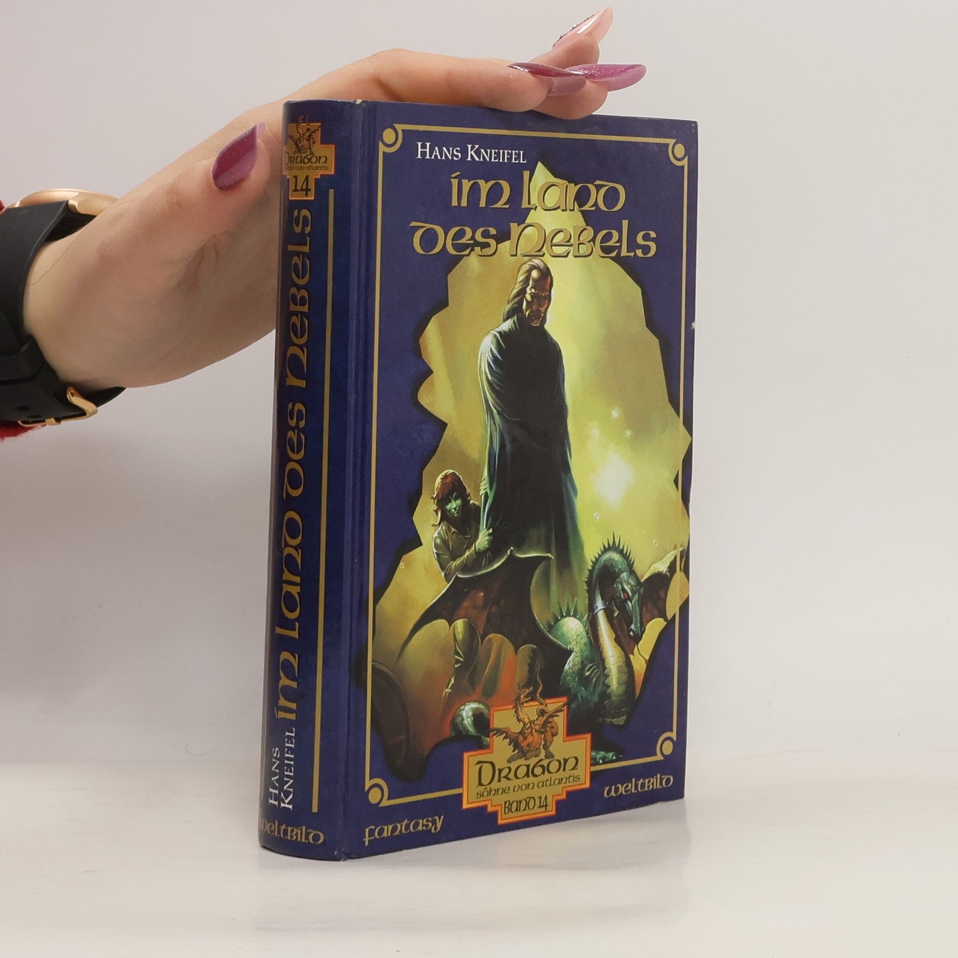 Hans Kneifel Im Land des Nebels