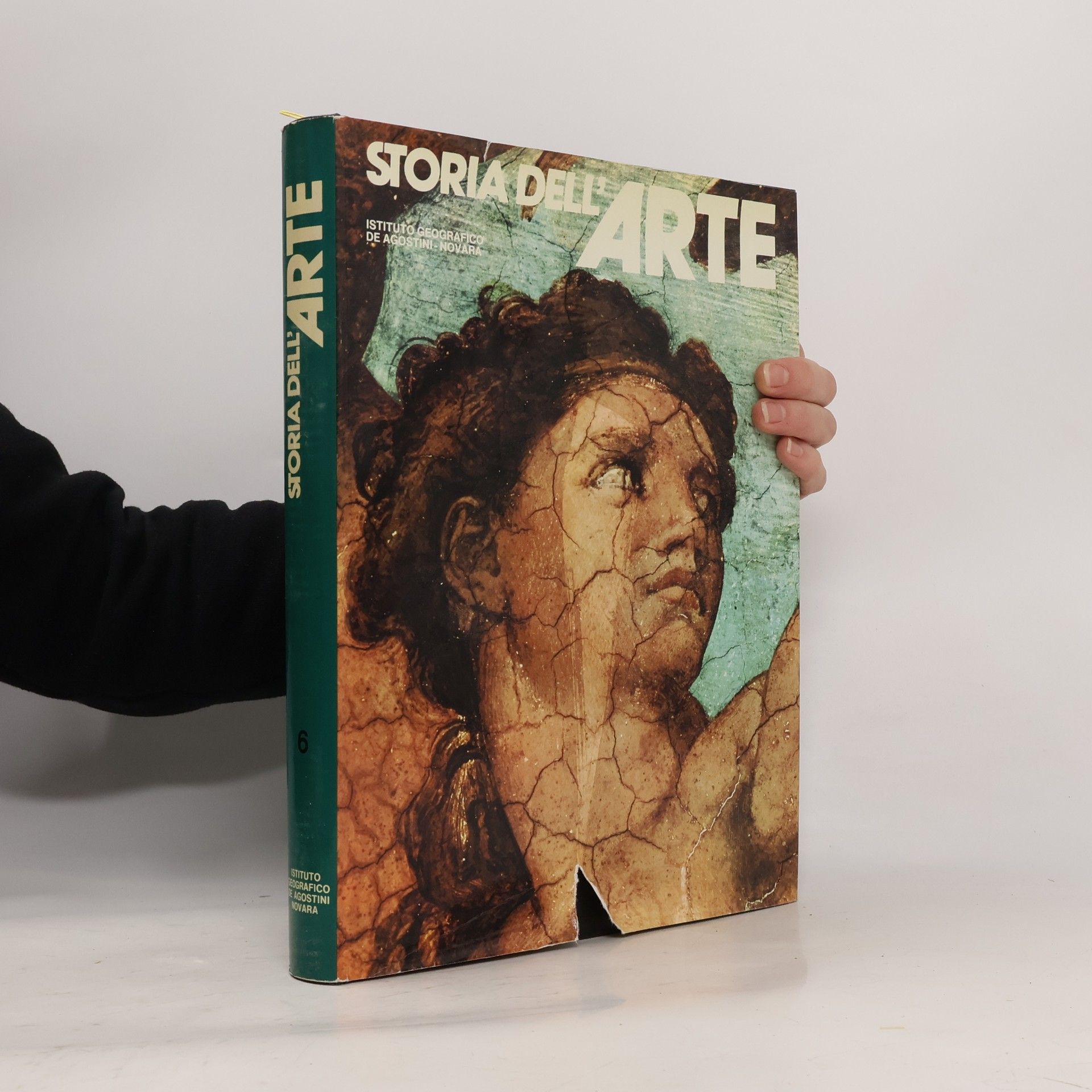 Kolektiv autorů Storia dell'arte VI.