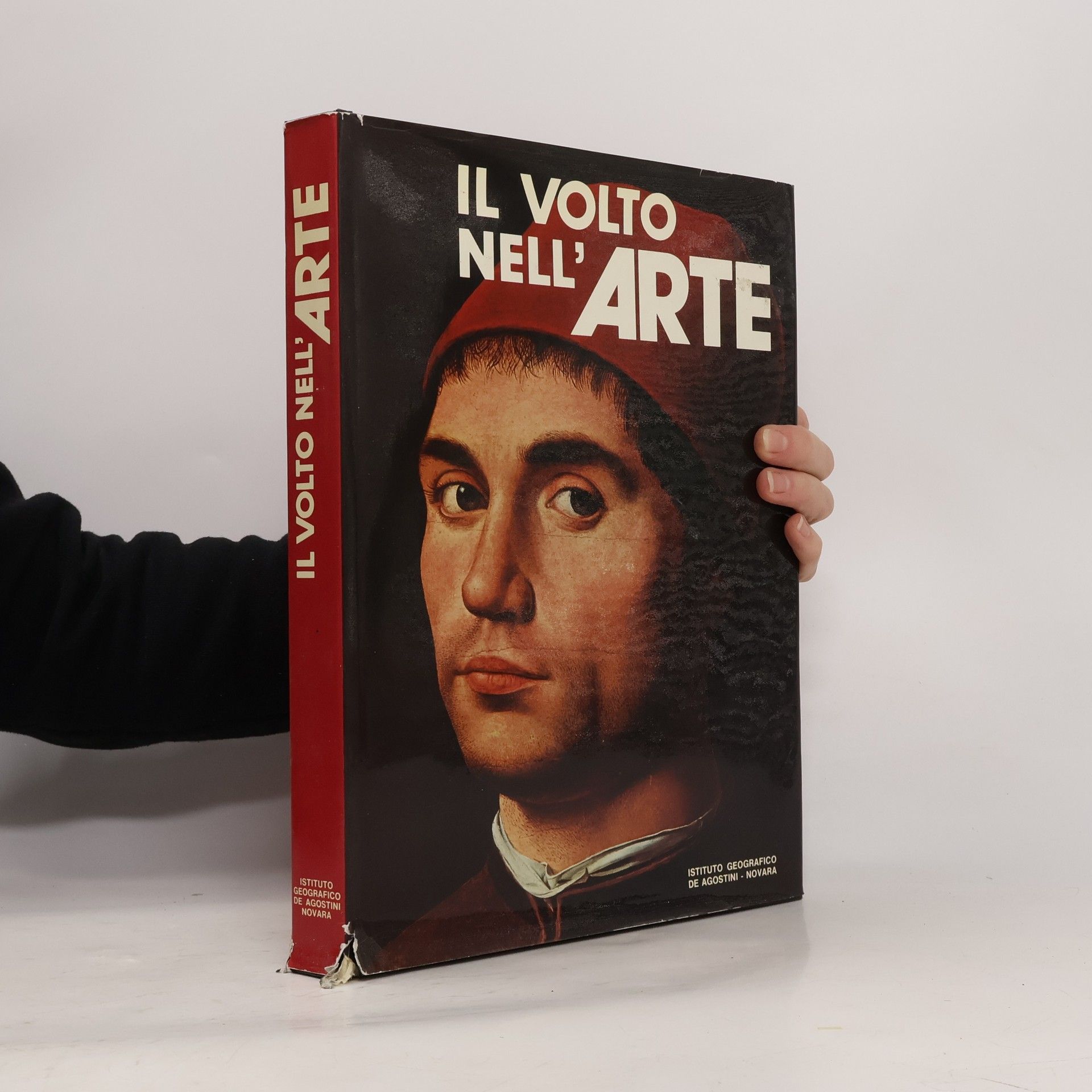 Kolektiv autorů Il volto nell'arte