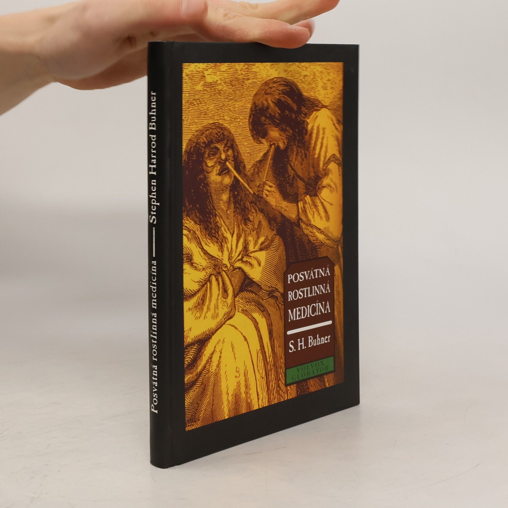 Posvátná rostlinná medicína. Moudrost původního severoamerického bylinářství