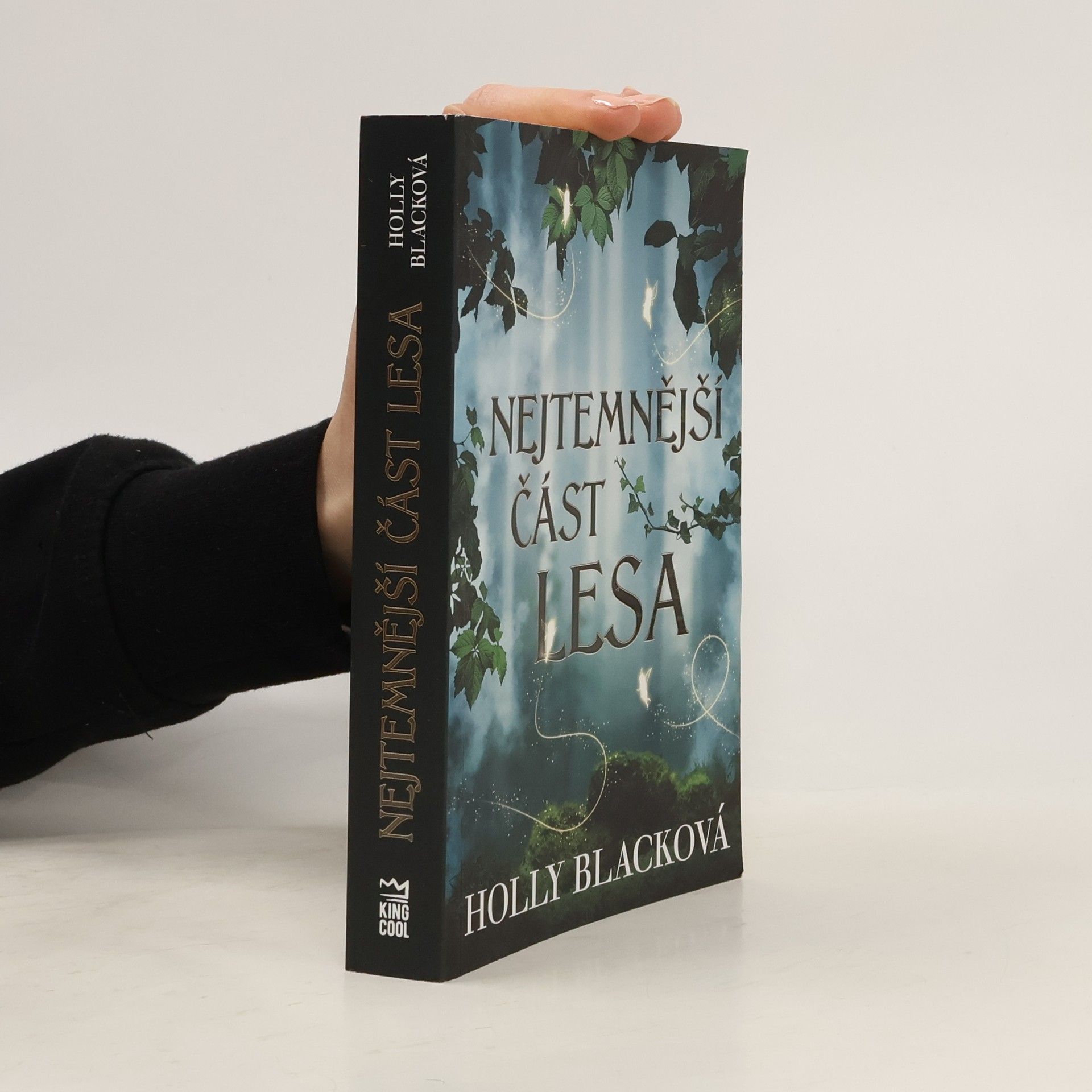 Holly Black Nejtemnější část lesa