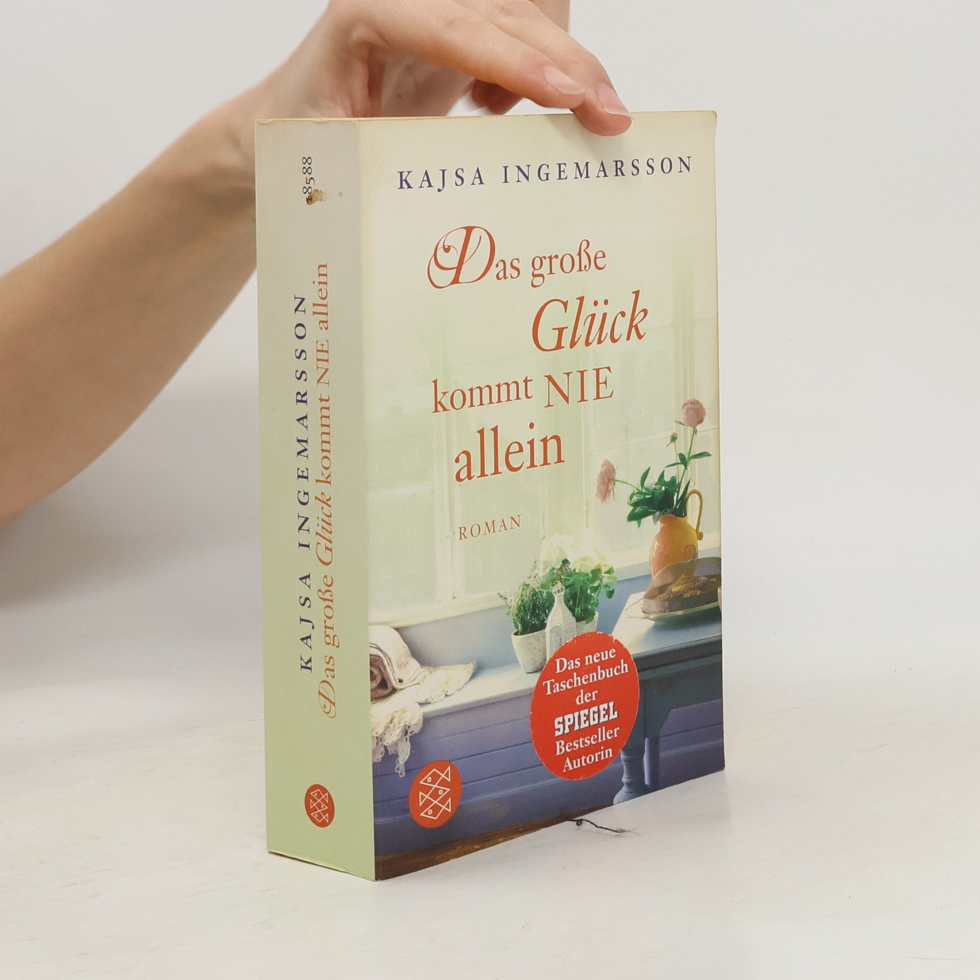 Kajsa Ingemarsson Das grose Glück kommt nie allein