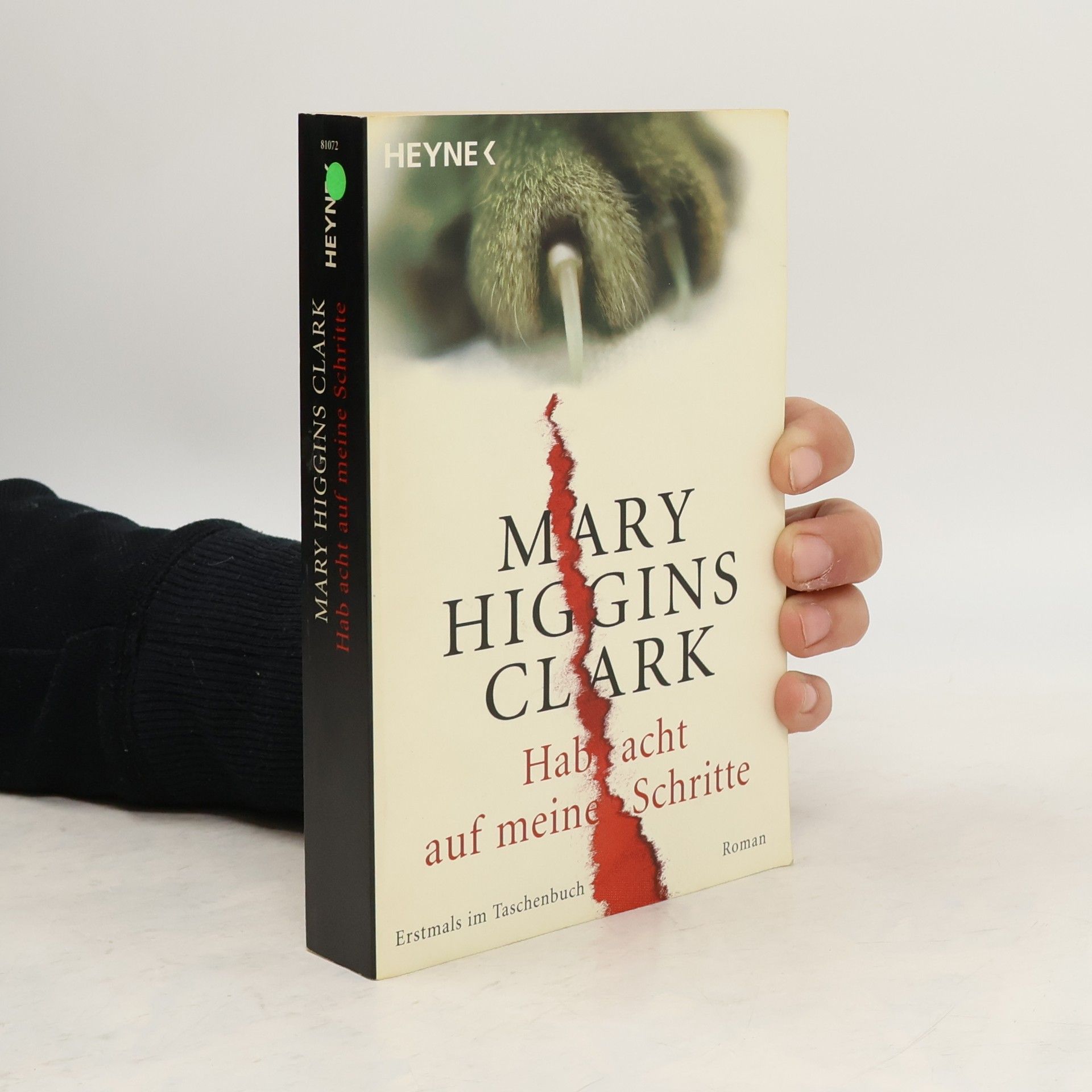 Mary Higgins Clark Hab acht auf meine Schritte