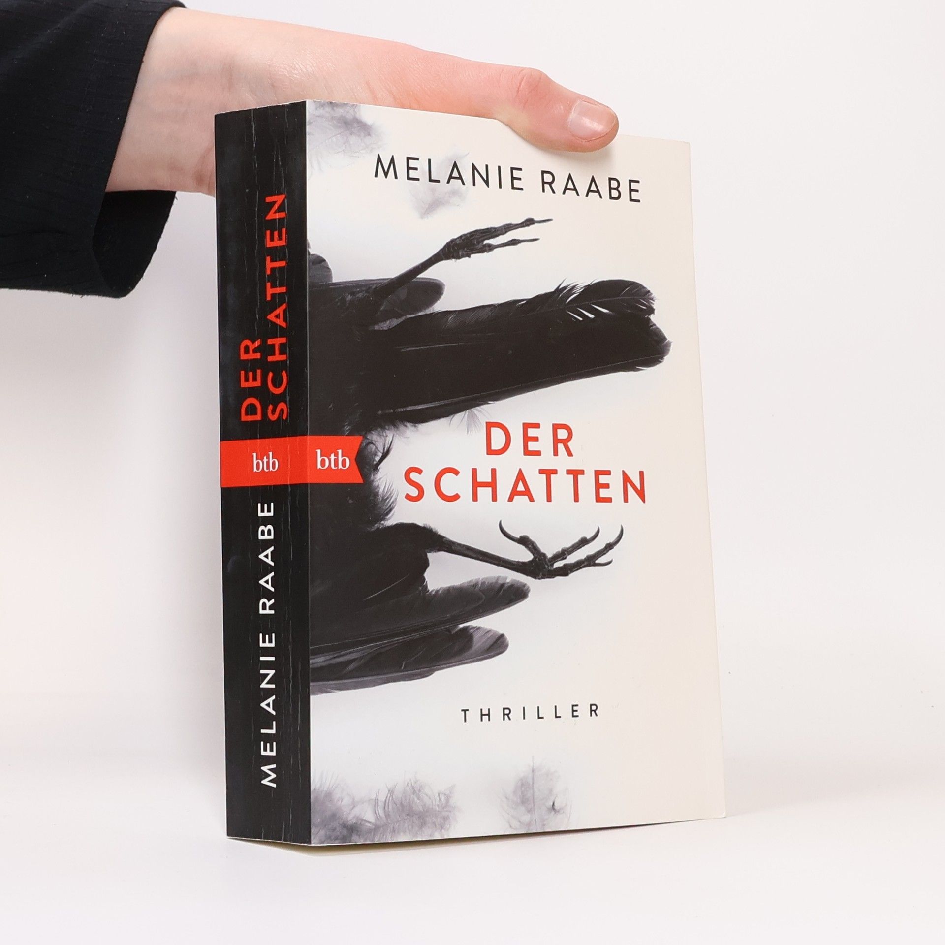Melanie Raabe Der Schatten